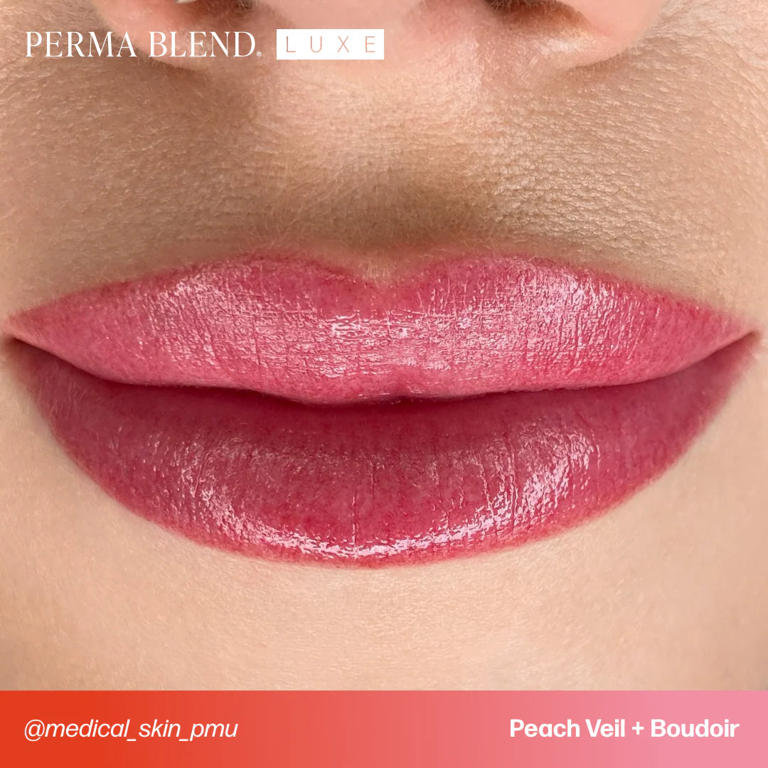Lip Pigment – Perma Blend LUXE Lip Pigment Boudoir 15ml | Lip Blush Pigment, Lip Tattoo Ink, SPMU Lip Color, Semi Permanent Makeup Lip Shade