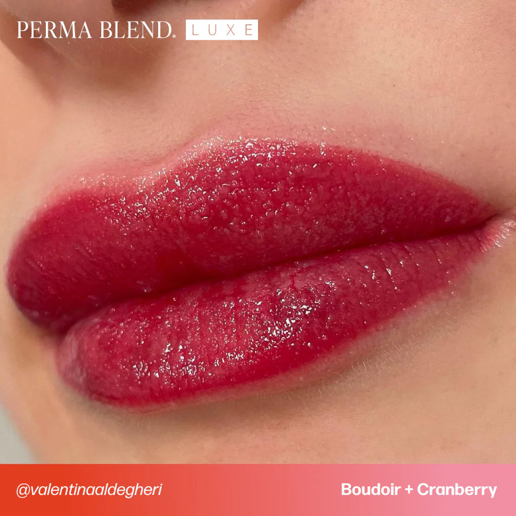 Lip Pigment – Perma Blend LUXE Lip Pigment Boudoir 15ml | Lip Blush Pigment, Lip Tattoo Ink, SPMU Lip Color, Semi Permanent Makeup Lip Shade