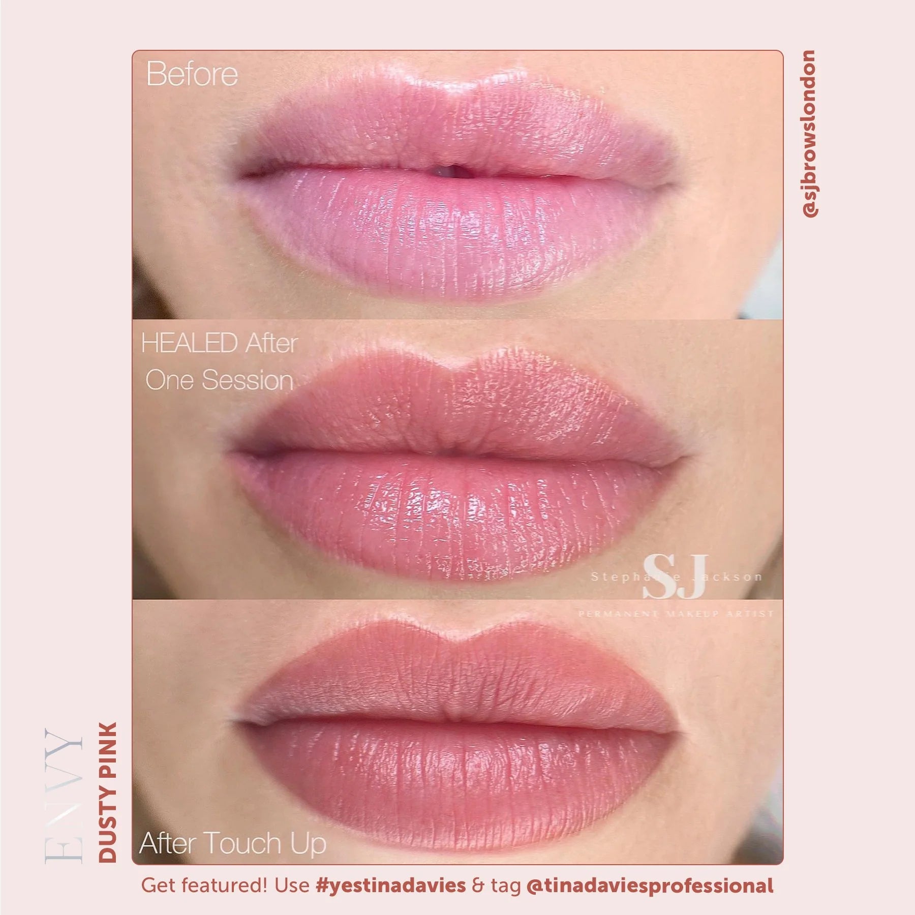 Tina Davies Envy Lip Pigment Collection 6 x 15 ml  – Professional PMU Lip Blush, Lip Neutralization & Cosmetic Tattoo Pigment Set for Permanent Makeup Artists