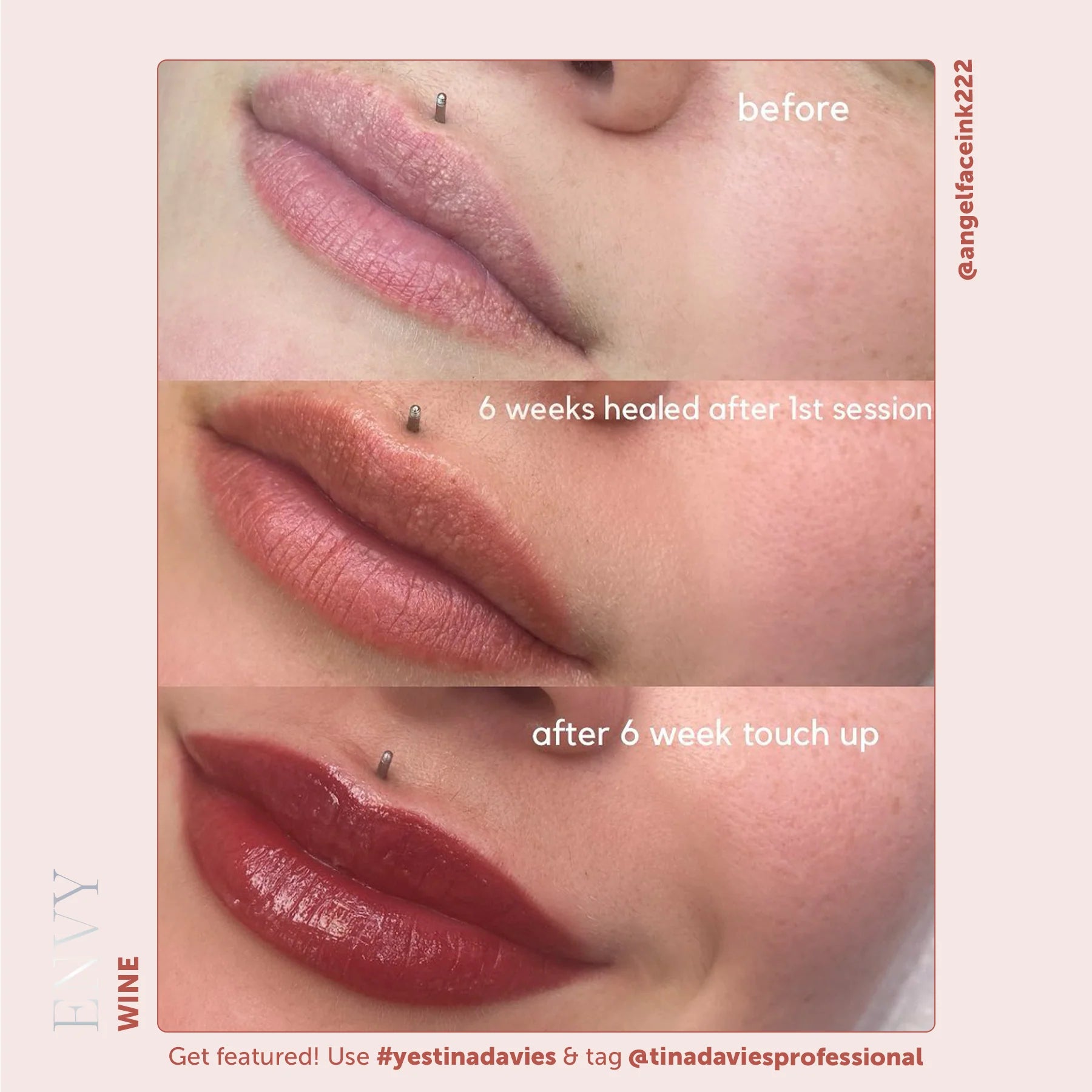Tina Davies Envy Lip Pigment Collection 6 x 15 ml  – Professional PMU Lip Blush, Lip Neutralization & Cosmetic Tattoo Pigment Set for Permanent Makeup Artists