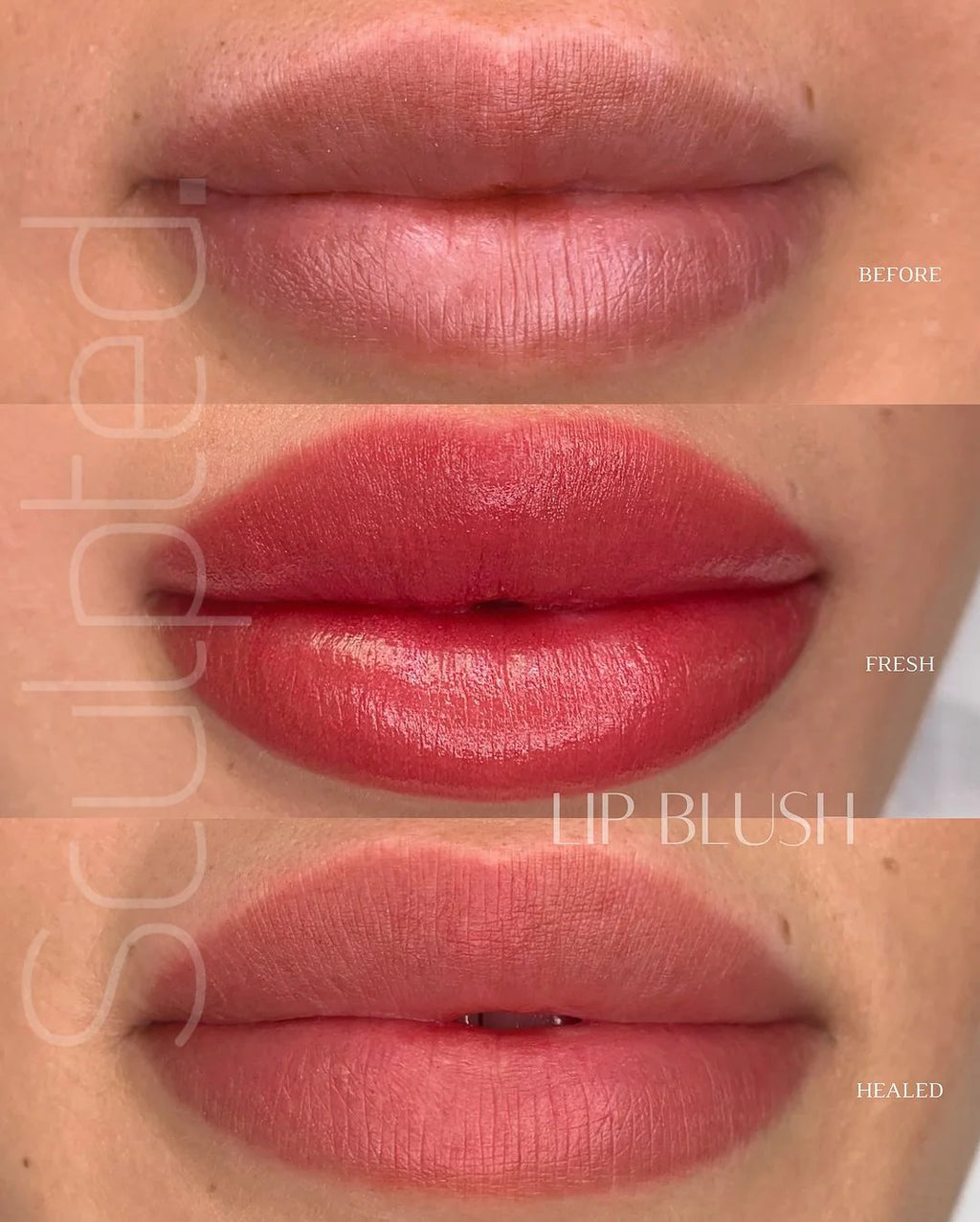 Lip Pigment – Perma Blend LUXE Lip Pigment Popi (Carla Ricciardone Enhance) 15ml | Lip Blush Pigment, Lip Tattoo Ink, SPMU Lip Color, Semi Permanent Makeup Lip Shade