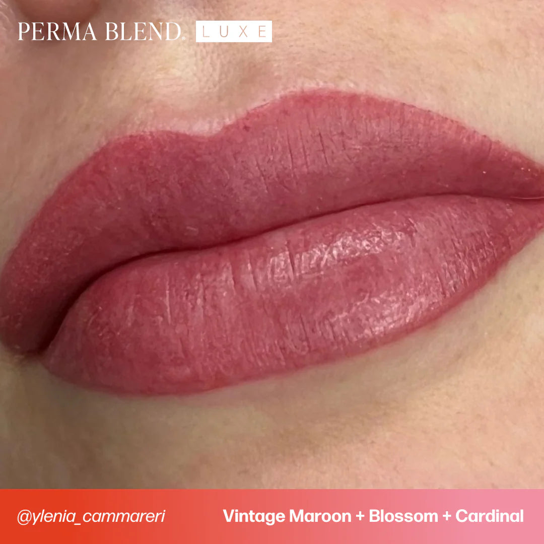 Lip Pigment – Perma Blend LUXE Lip Shades Vintage Maroon 15ml | PMU Lip Blush Pigment for Bold Maroon Lip Color | Permanent Makeup Ink