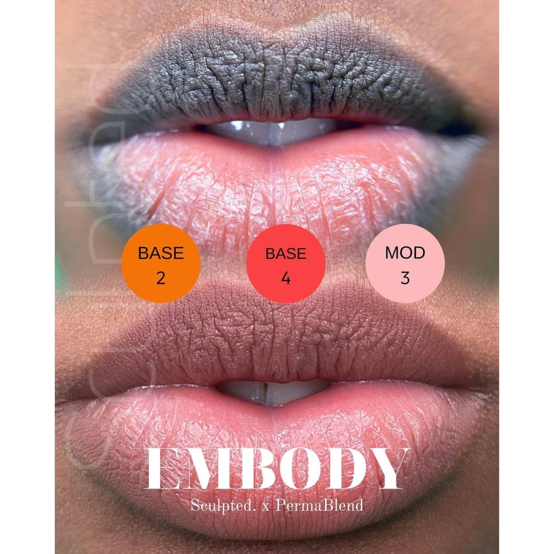 Lip Pigment – Perma Blend LUXE Lip Shades | Lip Color Embody MOD 3 15ml by Carla Ricciardone | Lip Shades Collection | PMU Lip Blush & Modern Neutral Lip Color
