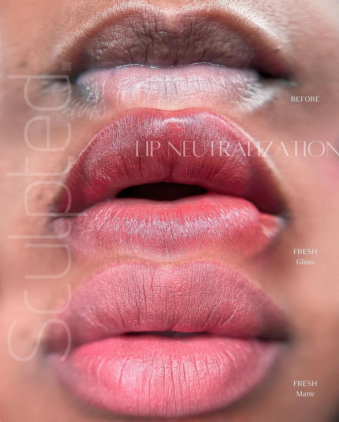 Lip Pigment – Perma Blend LUXE Lip Shades | Lip Color Embody MOD 3 15ml by Carla Ricciardone | Lip Shades Collection | PMU Lip Blush & Modern Neutral Lip Color