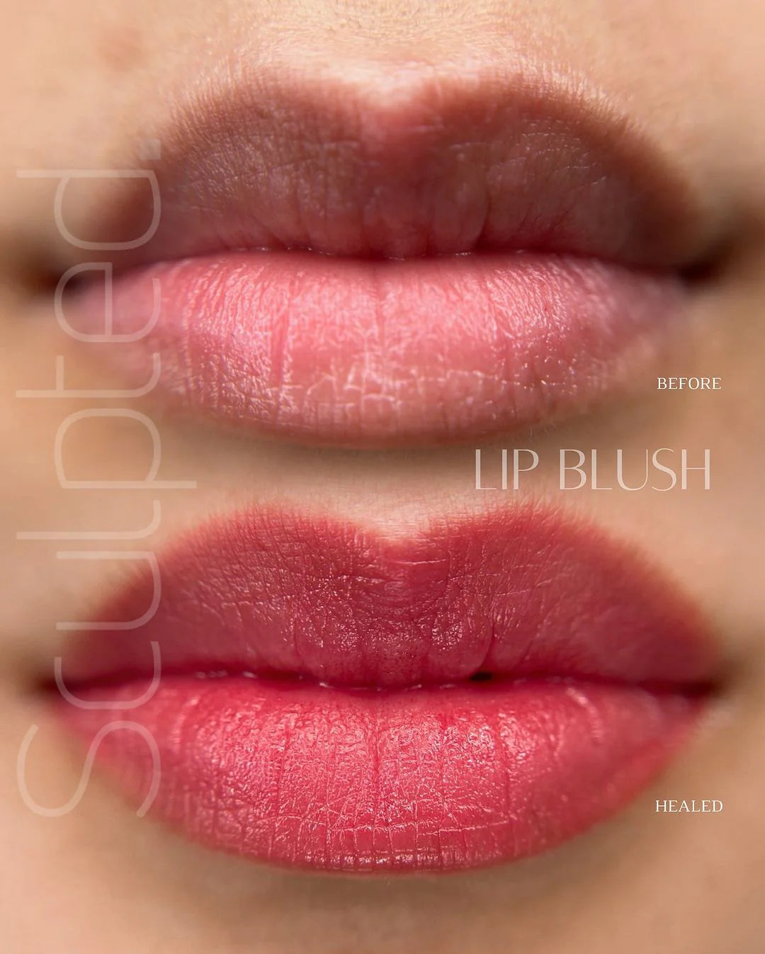 Lip Pigment – Perma Blend LUXE Lip Shades | Lip Color Embody MOD 3 15ml by Carla Ricciardone | Lip Shades Collection | PMU Lip Blush & Modern Neutral Lip Color