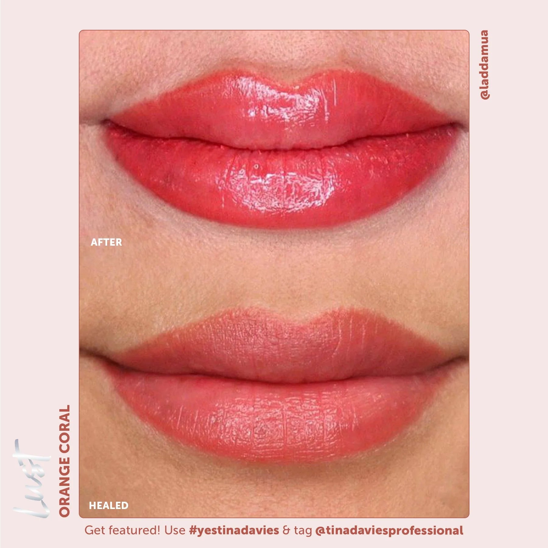 Tina Davies x Perma Blend Lust Lip Pigment Collection 6x15ml – Professional PMU Lip Blush Pigment Set