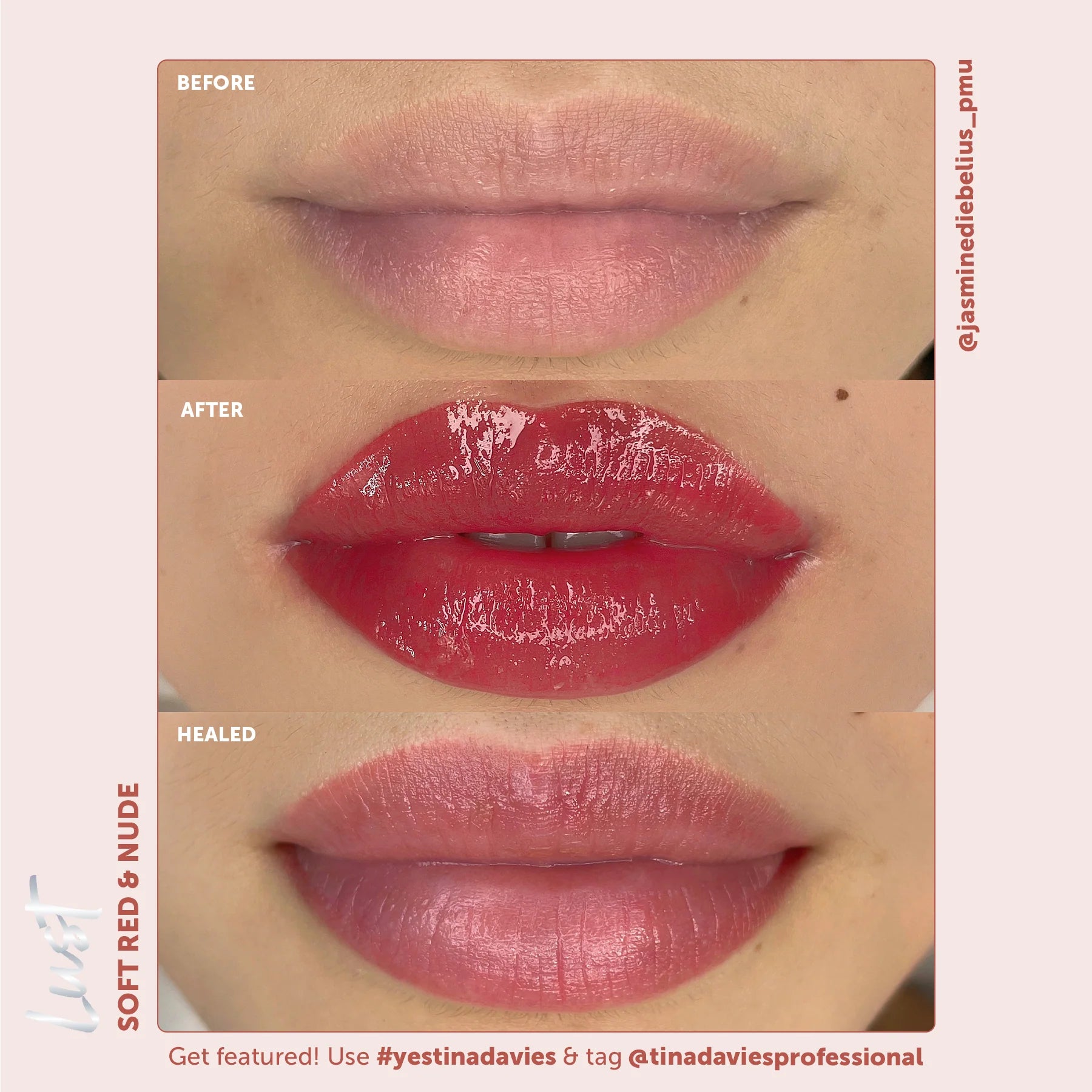 Tina Davies x Perma Blend Lust Lip Pigment Collection 6x15ml – Professional PMU Lip Blush Pigment Set