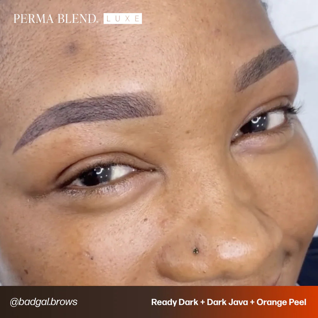 Eyebrow Pigment – Perma Blend LUXE Ready Dark 15ml | Permanent Makeup SPMU Brow Ink for Nano Brows, Microblading, Ombré Brows & Powder Brows | Professional PMU Pigment