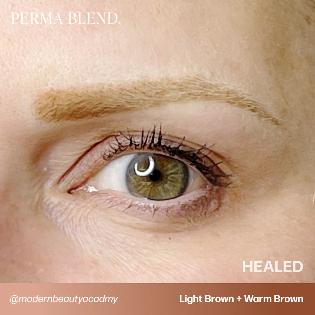 Eyebrow Pigment – Perma Blend Warm Brown 15ml | Permanent Makeup SPMU Eyebrow Ink for Microblading, Ombré Brows & Powder Brows | Professional Brow Pigment