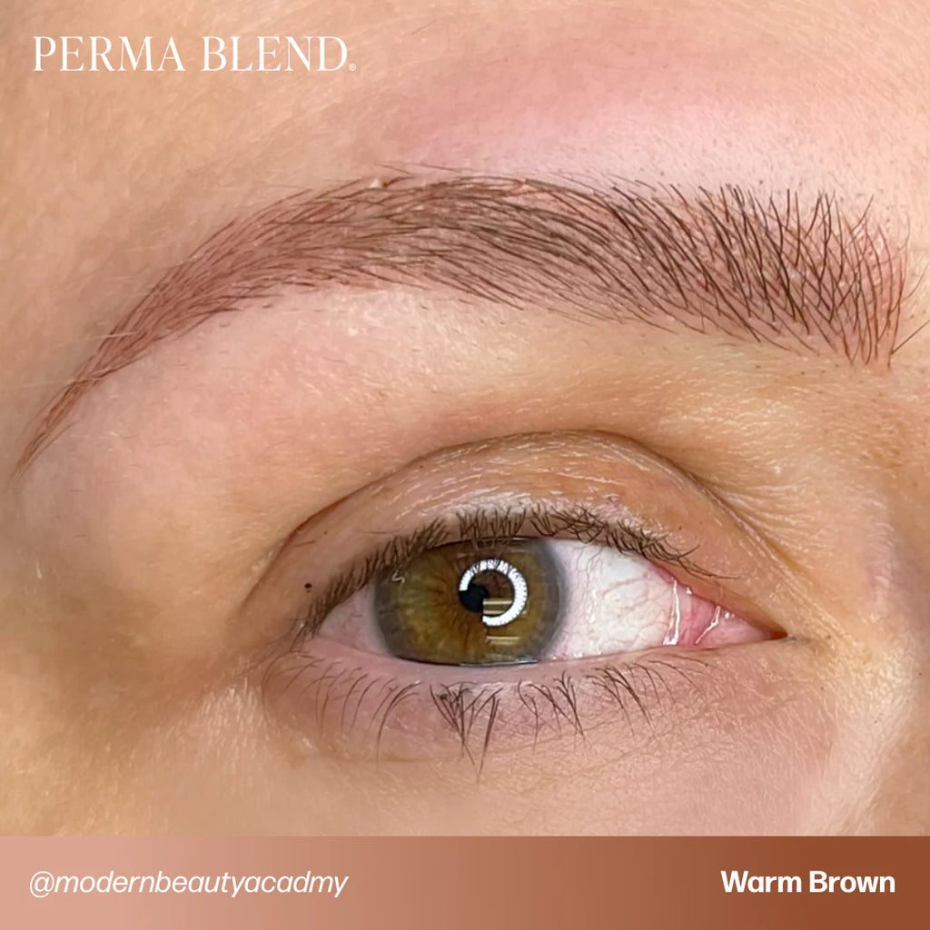 Eyebrow Pigment – Perma Blend Warm Brown 15ml | Permanent Makeup SPMU Eyebrow Ink for Microblading, Ombré Brows & Powder Brows | Professional Brow Pigment