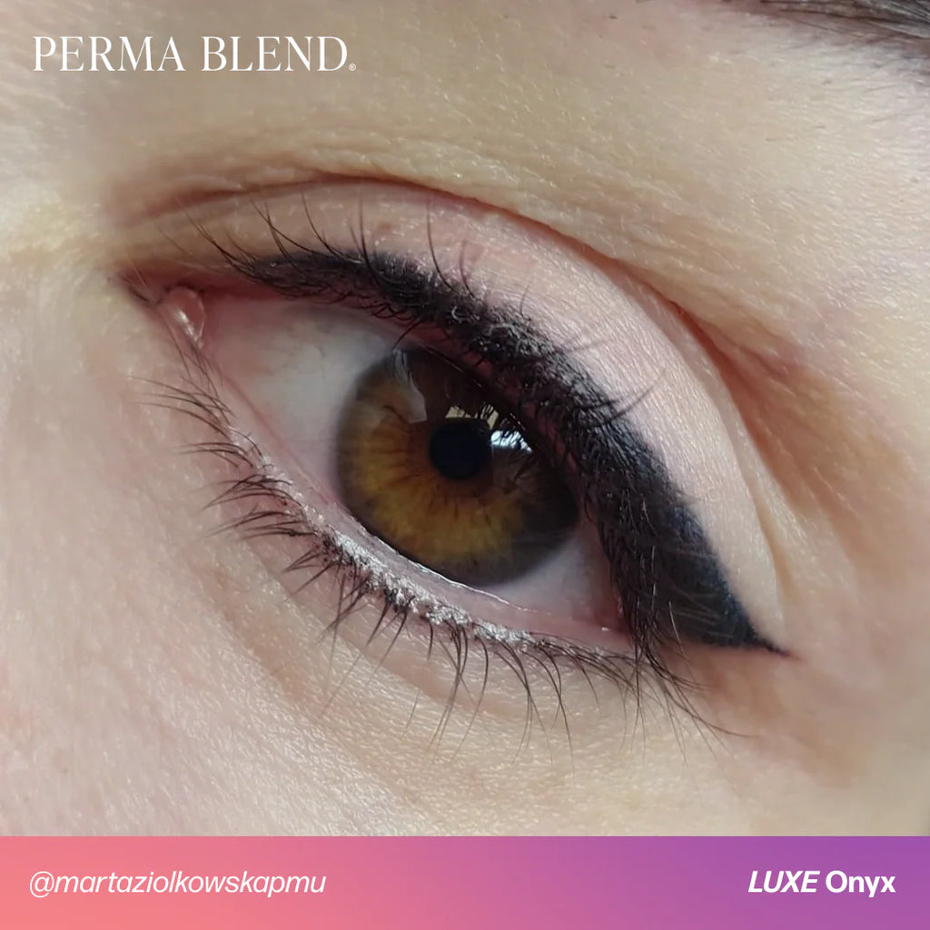 Eyebrow Pigment – Perma Blend LUXE Onyx 15ml | Permanent Makeup SPMU Eyebrow Ink for Microblading, Ombré Brows & Powder Brows | Cool Brown Professional Pigment
