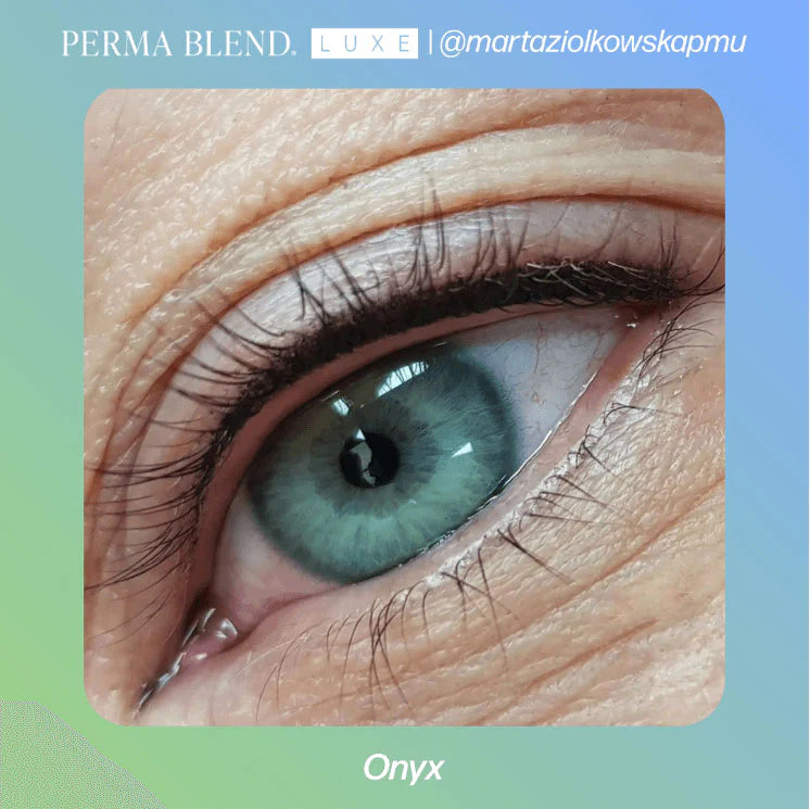 Eyebrow Pigment – Perma Blend LUXE Onyx 15ml | Permanent Makeup SPMU Eyebrow Ink for Microblading, Ombré Brows & Powder Brows | Cool Brown Professional Pigment