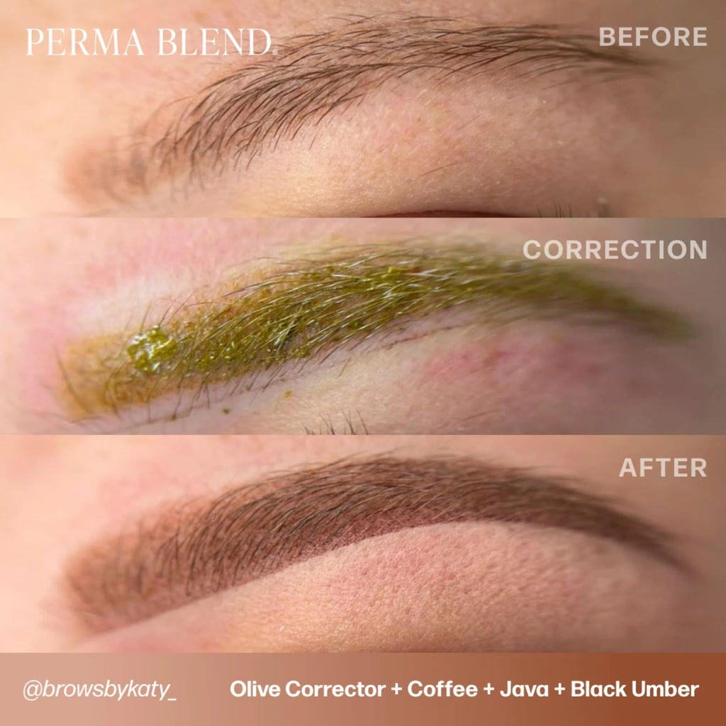 Pigment Corrector – Olive Corrector 15ml | Permanent Makeup SPMU Pigment Ink for Microblading, Ombré Brows & Powder Brows, Lip Pigments | Light Orange-Based Corrector Professional Pigment