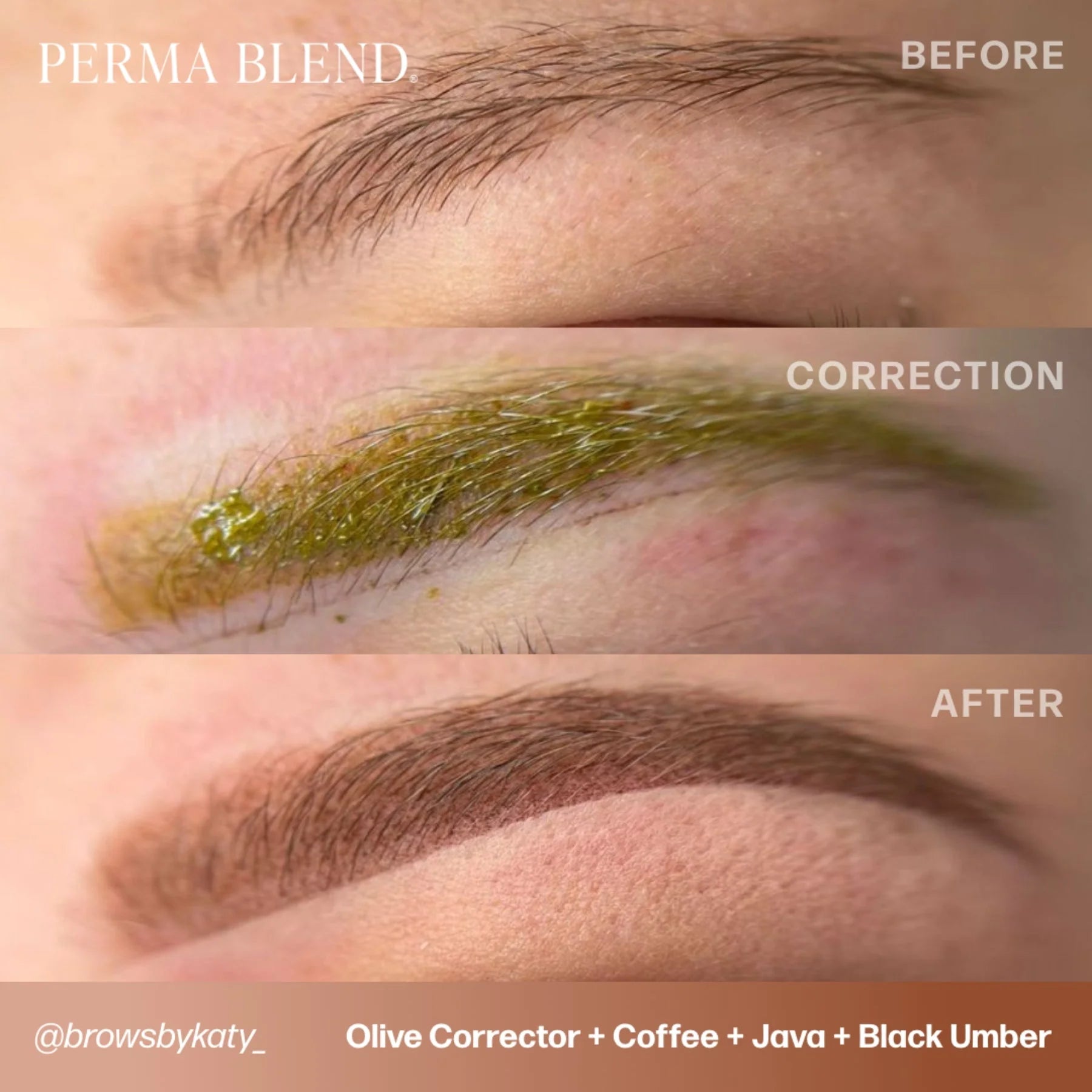 Pigment Corrector – Olive Corrector 15ml | Permanent Makeup SPMU Pigment Ink for Microblading, Ombré Brows & Powder Brows, Lip Pigments | Light Orange-Based Corrector Professional Pigment