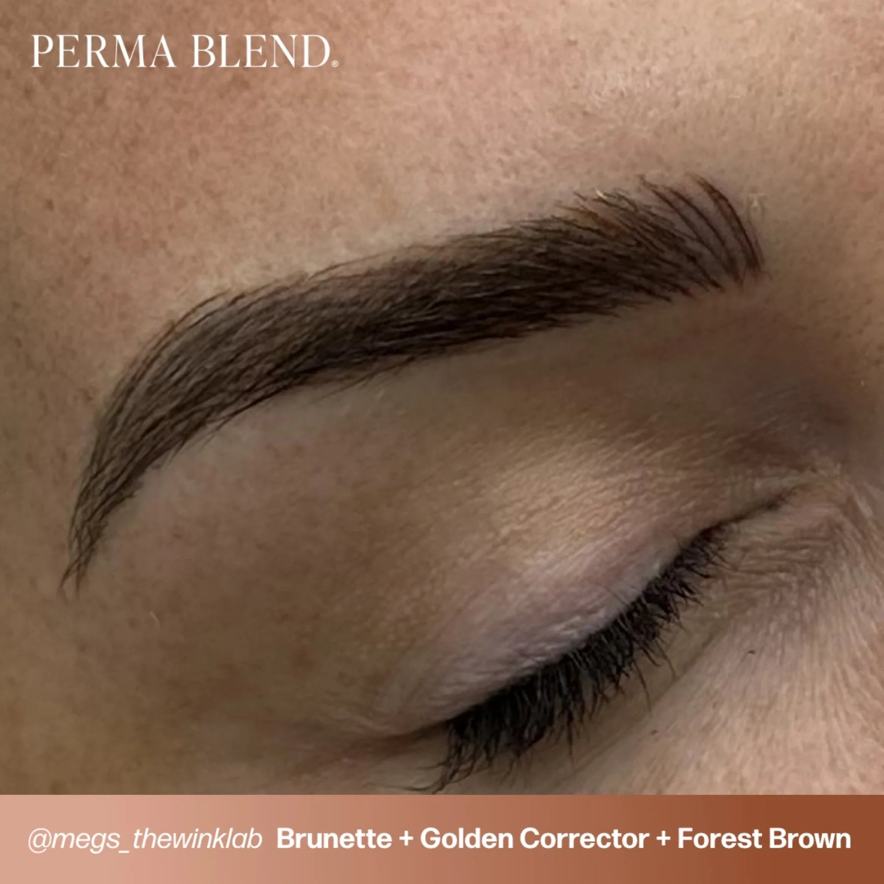 Pigment Corrector – Golden Corrector 15ml | PMU Eyebrow & Lip Pigment Corrector Ink for Microblading, Ombré Brows & Powder Brows | Light Orange Tone Color Corrector for Professional Permanent Makeup Use