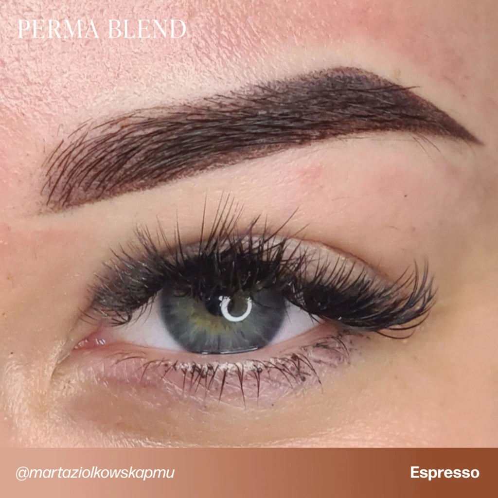 Eyebrow Pigment – Espresso 15ml Perma Blend | Permanent Makeup SPMU Eyebrow Ink for Microblading, Ombré Brows & Powder Brows | Cool Brown Professional Pigment