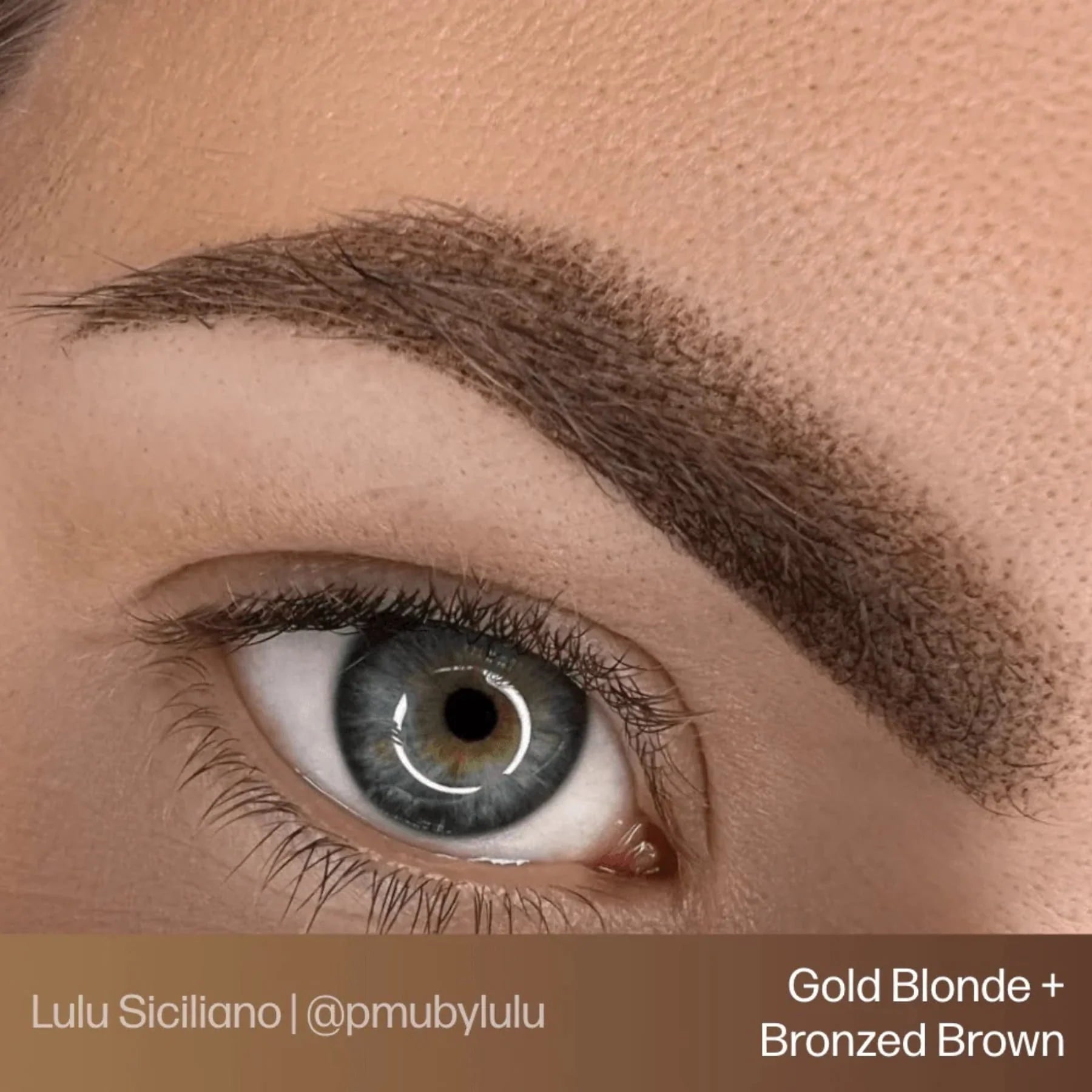 Eyebrow Pigments – Gold Brown 15ml Evenflo Colours | Blonde 2 Brunette Singles | Perma Blend Luxe Brow Pigments | Professional Permanent Makeup Brow Ink for Microblading, Ombré Brows & Powder Brows