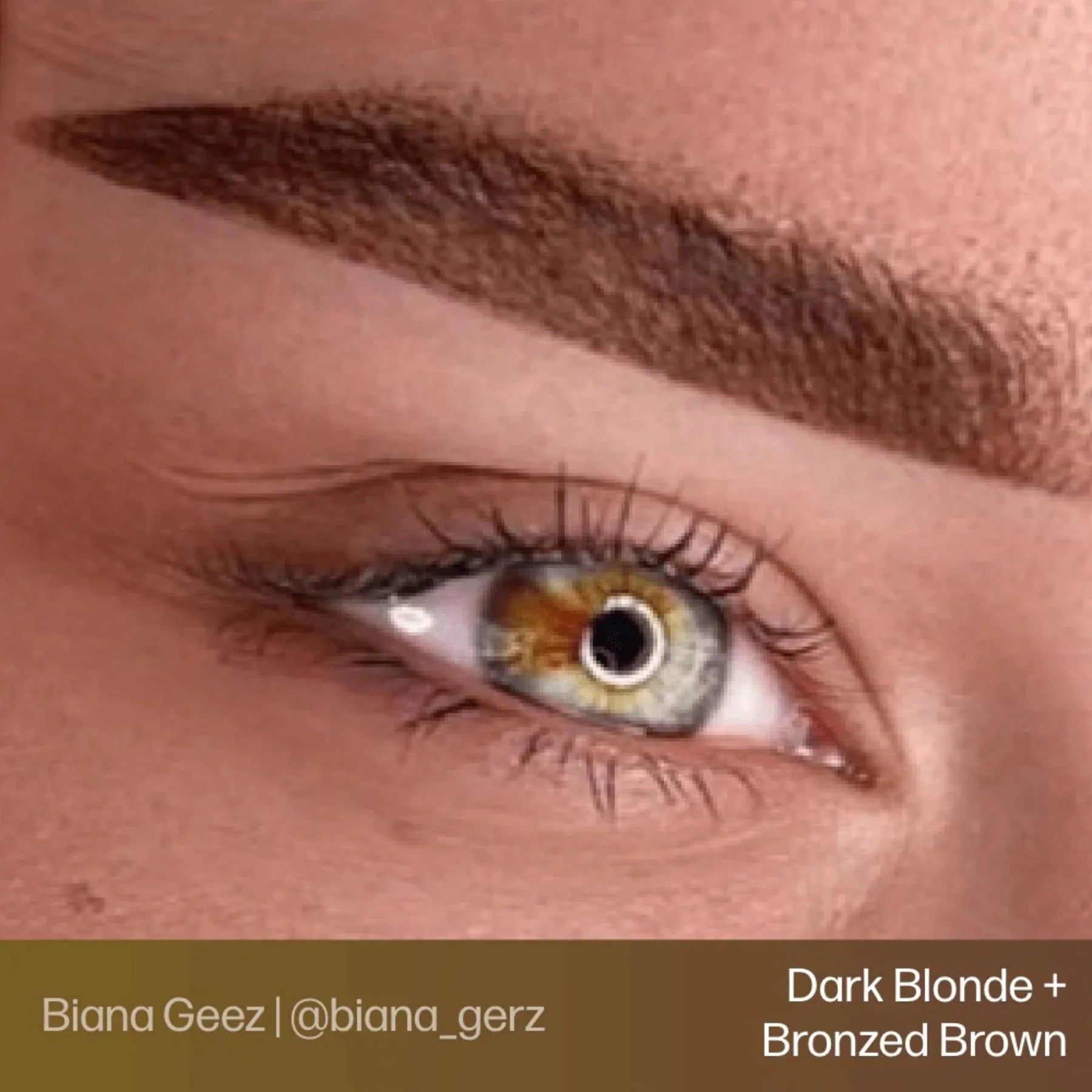 Eyebrow Pigments – Gold Brown 15ml Evenflo Colours | Blonde 2 Brunette Singles | Perma Blend Luxe Brow Pigments | Professional Permanent Makeup Brow Ink for Microblading, Ombré Brows & Powder Brows