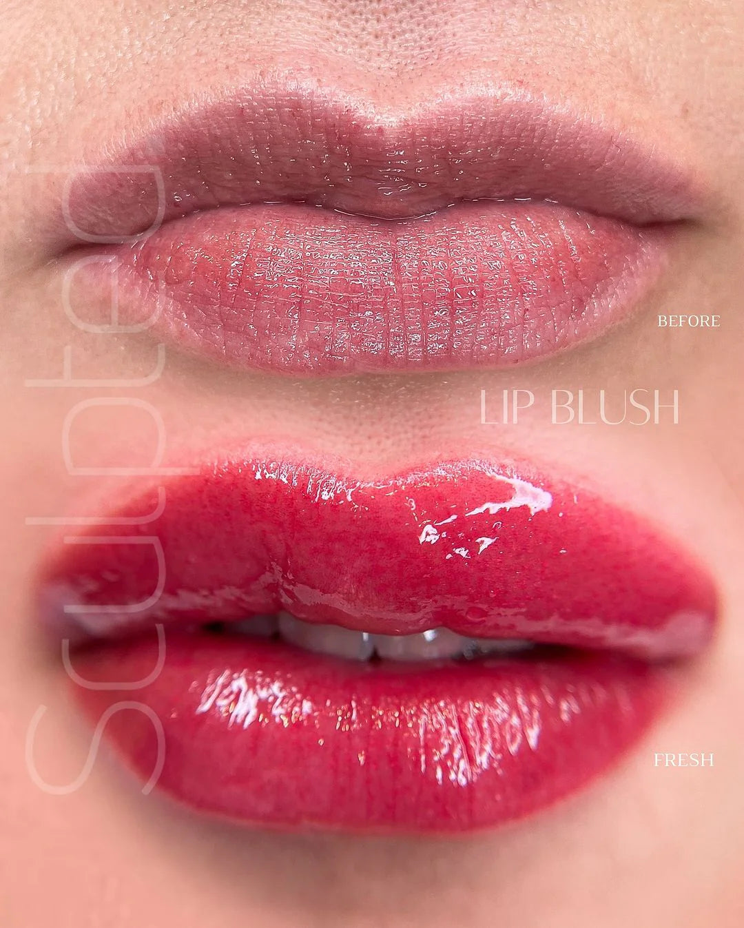 Lip Pigment – Perma Blend LUXE Lip Pigment Joy (Carla Ricciardone Enhance) 15ml | Lip Blush Pigment, Lip Tattoo Ink, SPMU Lip Color, Semi Permanent Makeup Lip Shade