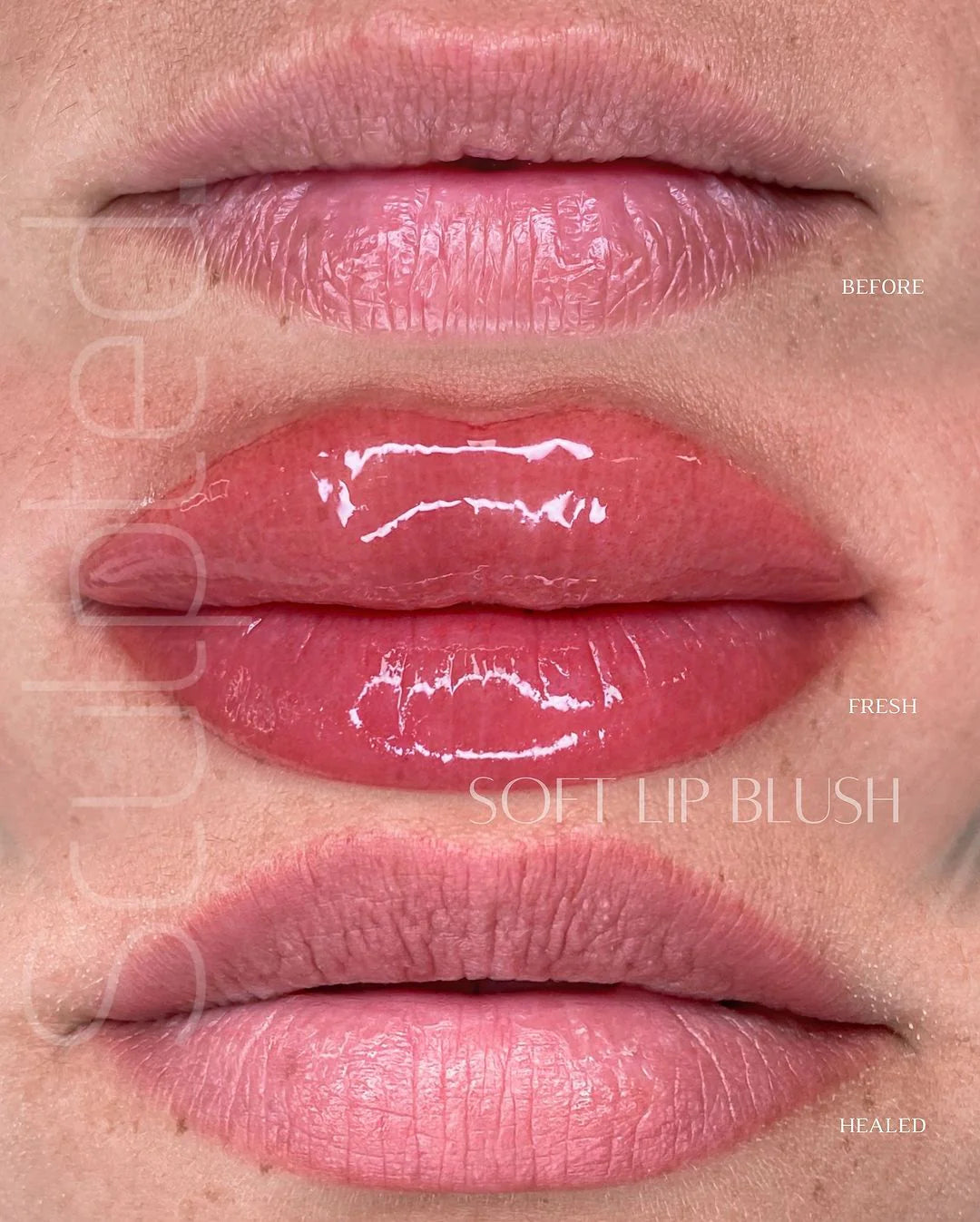 Lip Pigment – Perma Blend LUXE Lip Pigment Glam (Carla Ricciardone Enhance) 15ml | Lip Blush Pigment, Lip Tattoo Ink, SPMU Lip Color, Semi Permanent Makeup Lip Shade