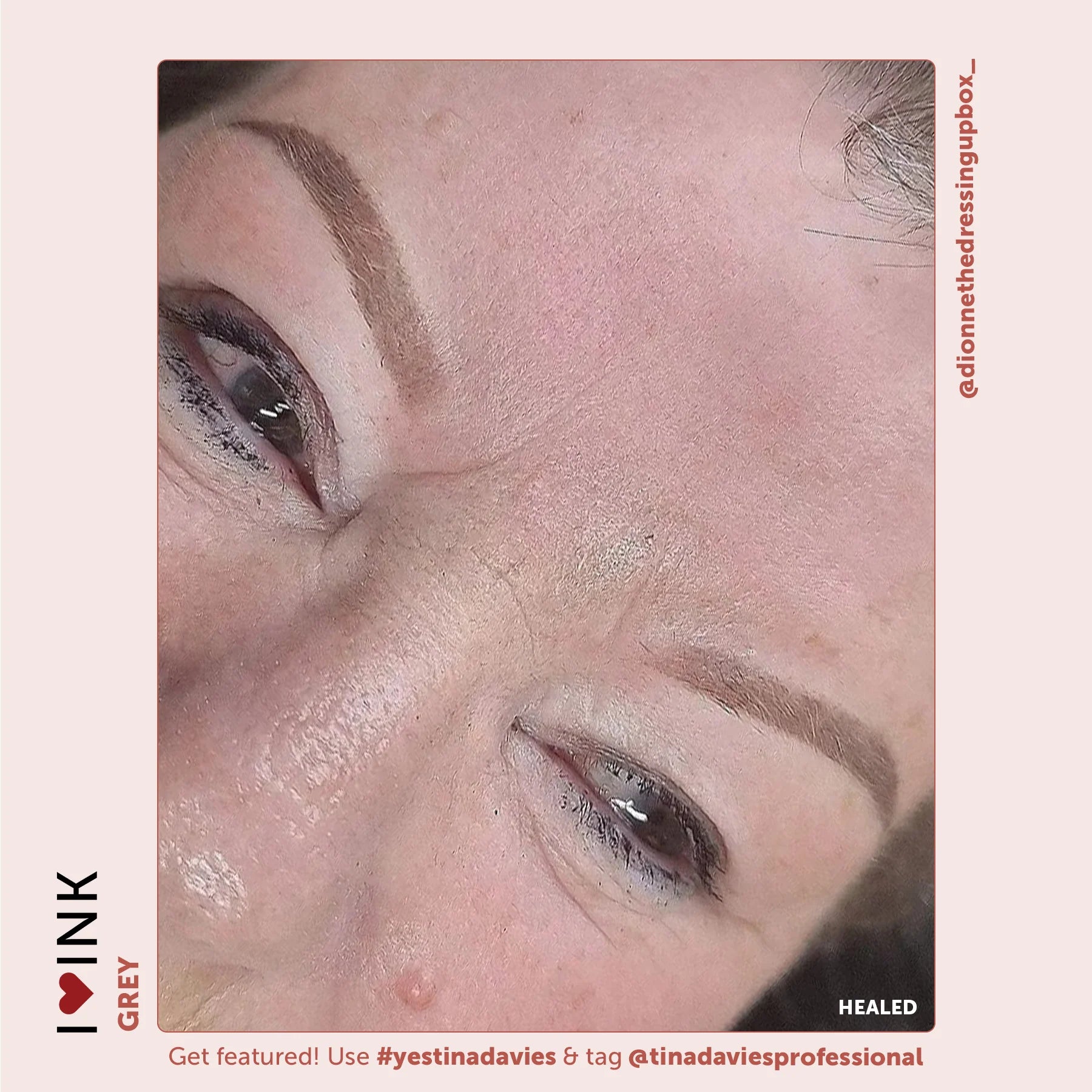 Eyebrow Pigment Sets – I ❤️ INK Brow Collection 8x15ml – Tina Davies | Permanent Makeup SPMU Eyebrow Ink for Microblading, Ombré Brows & Powder Brows | Cool Brown Professional Pigment