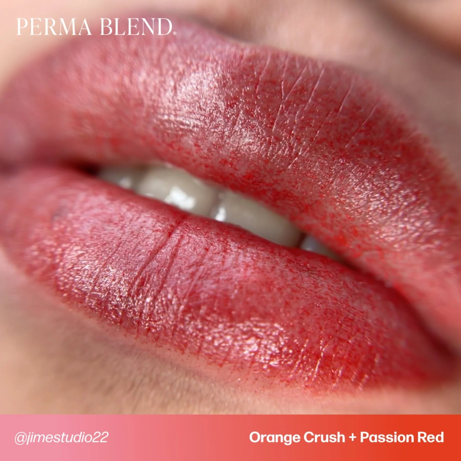 Lip Pigments – Perma Blend Lip Pigment Orange Crush 15ml | Perma Blend Professional PMU Lip Blush Pigment for Lip Neutralization, Lip Correction, Lip Tattoo & Semi Permanent Makeup Ink