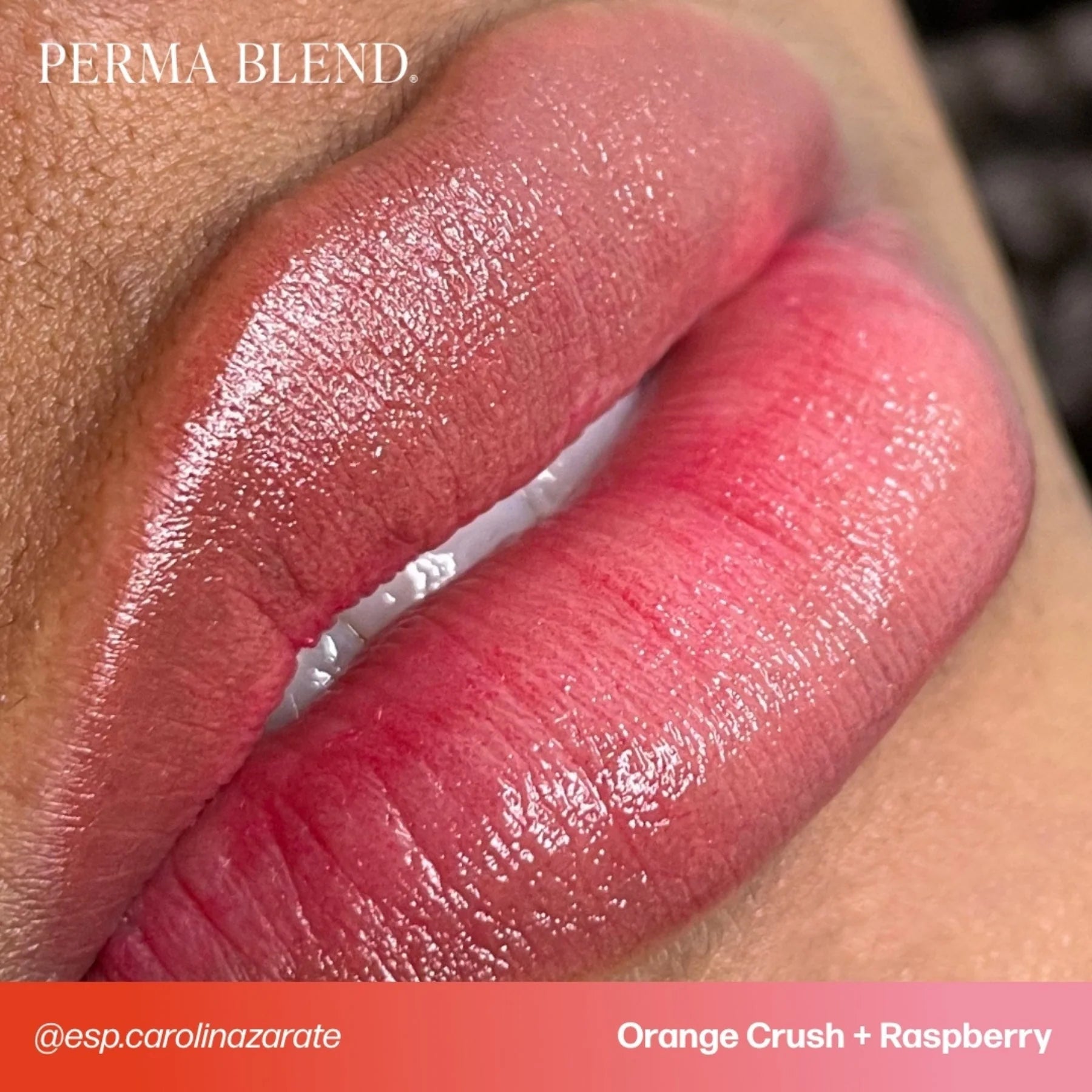 Lip Pigments – Perma Blend Lip Pigment Orange Crush 15ml | Perma Blend Professional PMU Lip Blush Pigment for Lip Neutralization, Lip Correction, Lip Tattoo & Semi Permanent Makeup Ink