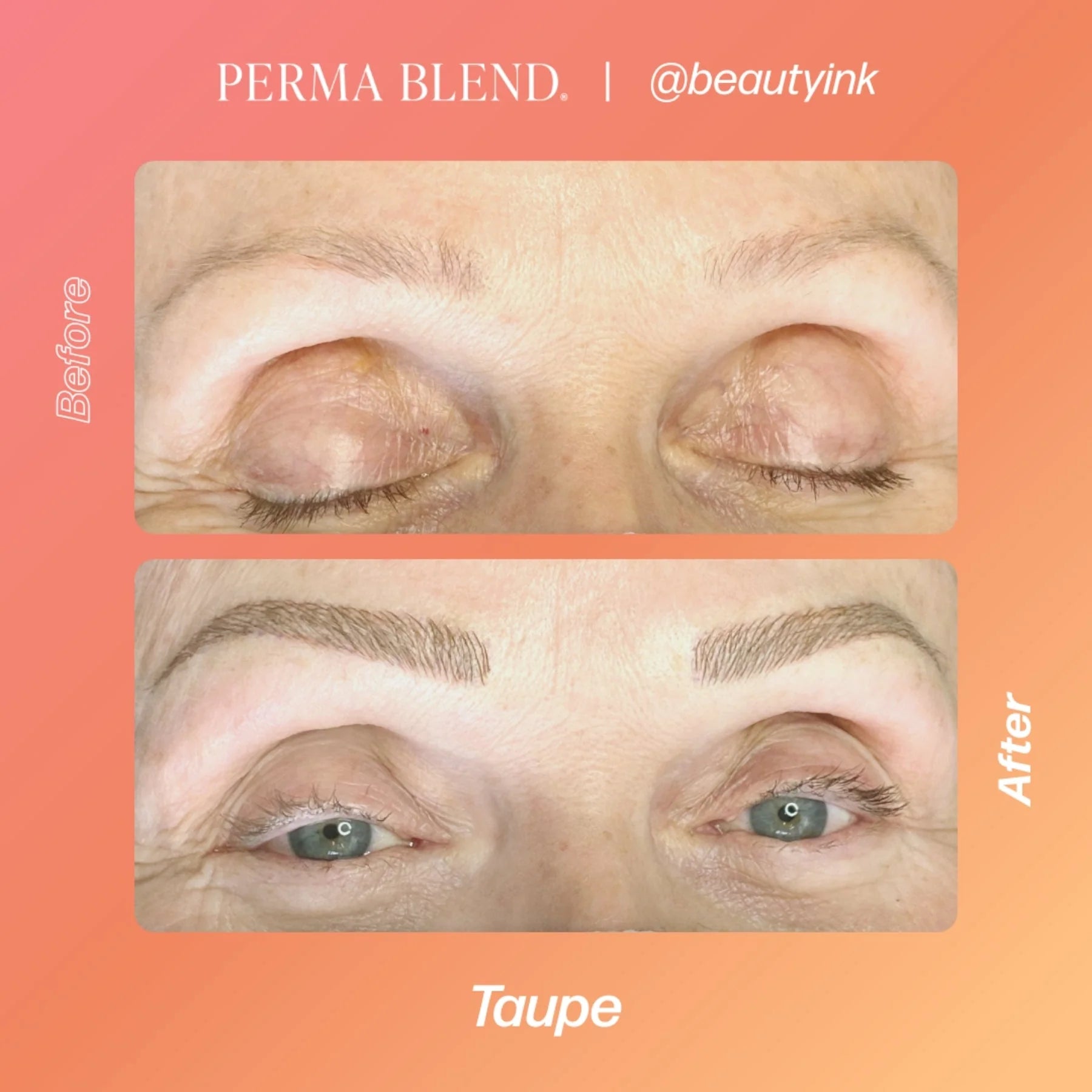 Eyebrow Pigment – Taupe 15ml Perma Blend | Permanent Makeup SPMU Eyebrow Ink for Microblading, Ombré Brows & Powder Brows | Cool Brown Professional Pigment