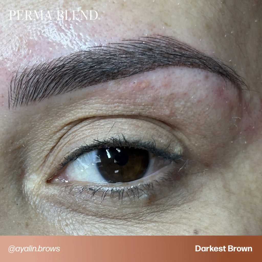 Brow Pigment – Bolder Brown 15ml - Perma Blend | Permanent Makeup SPMU Eyebrow Ink for Microblading, Ombré Brows & Powder Brows | Cool Brown Professional Pigment