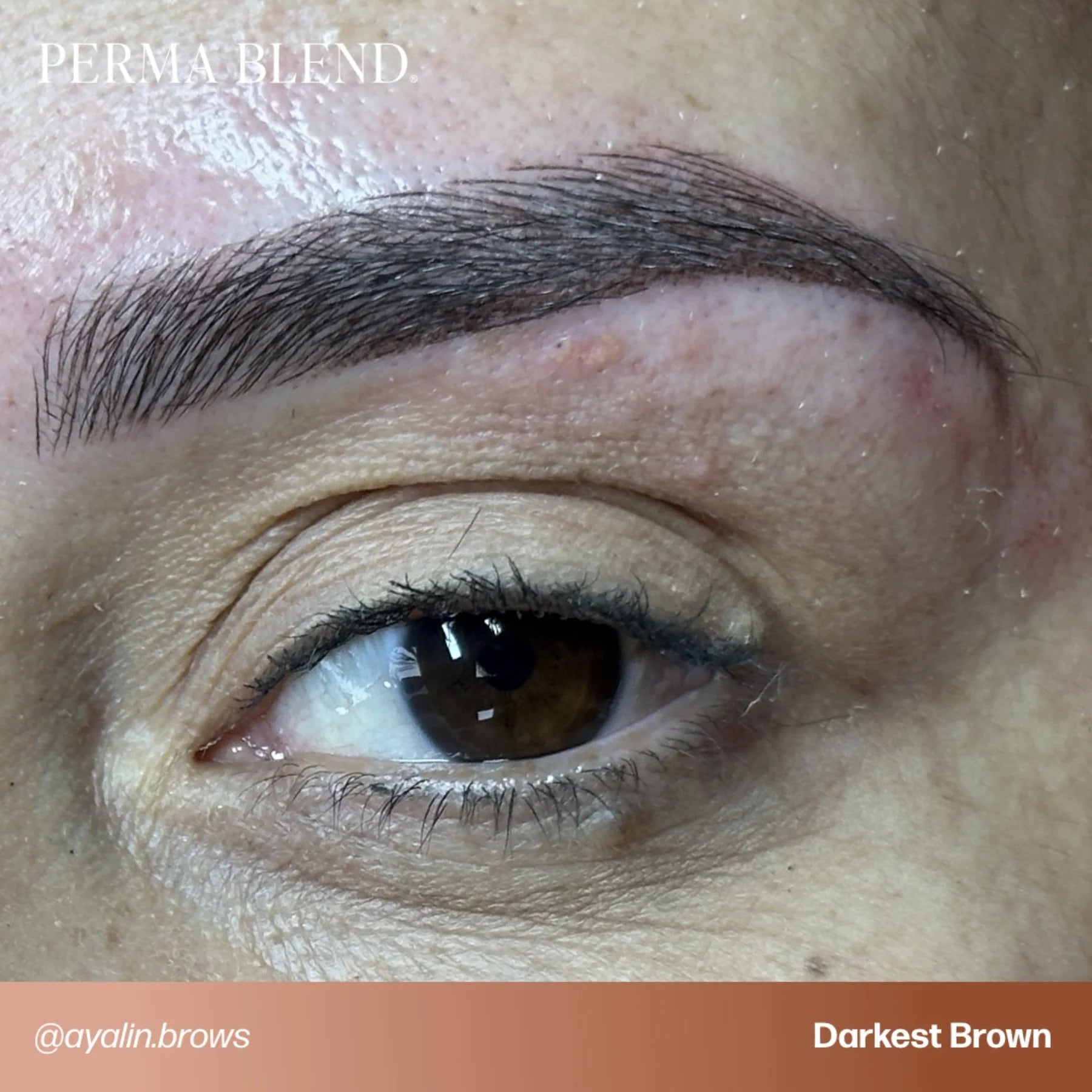 Brow Pigment – Bolder Brown 15ml - Perma Blend | Permanent Makeup SPMU Eyebrow Ink for Microblading, Ombré Brows & Powder Brows | Cool Brown Professional Pigment