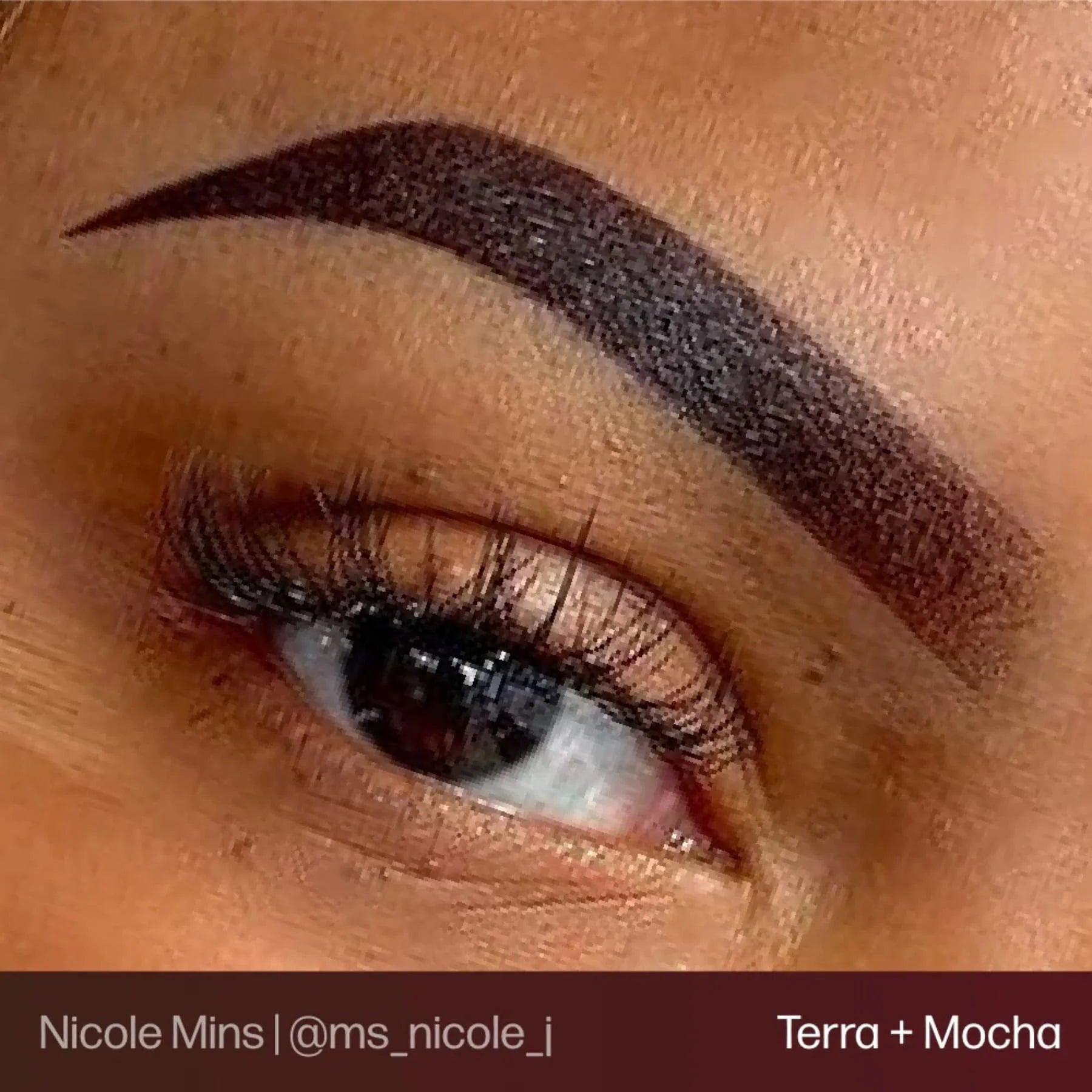 Eyebrow Pigment Mocha 15ml – Evenflo Colours Permanent Makeup Brow Ink for Microblading, Ombré Brows, Powder Brows | Professional SPMU Eyebrow Pigment for Long-Lasting Natural Brown Results