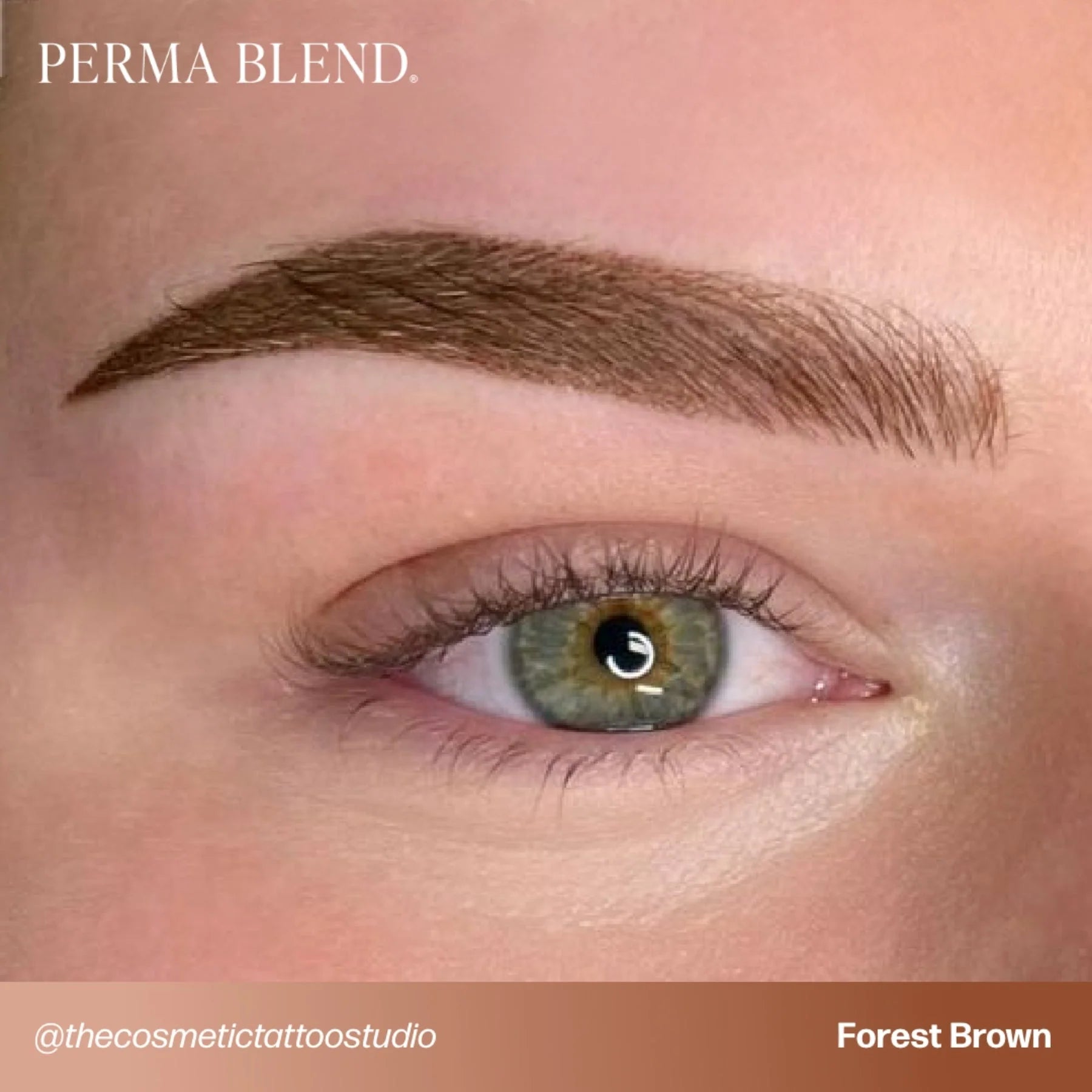 Eyebrow Pigment – Forest Brown 15ml Perma Blend | Permanent Makeup SPMU Eyebrow Ink for Microblading, Ombré Brows & Powder Brows | Cool Brown Professional Pigment