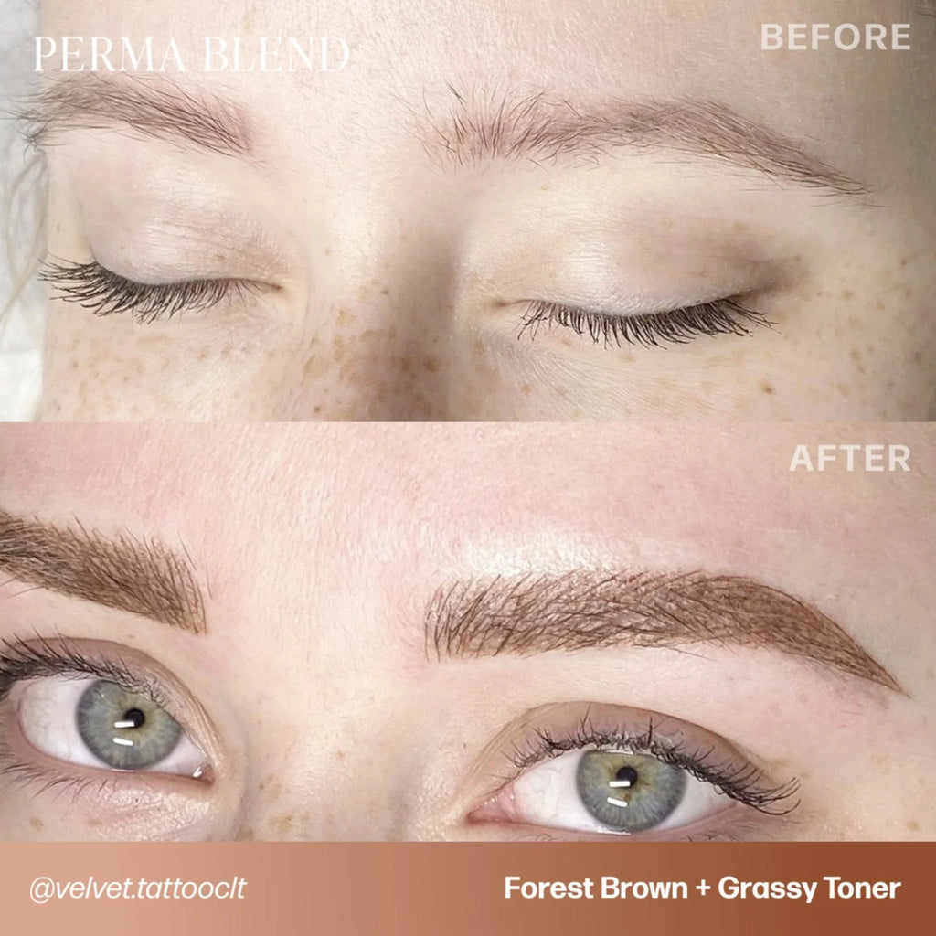 Eyebrow Pigment – Forest Brown 15ml Perma Blend | Permanent Makeup SPMU Eyebrow Ink for Microblading, Ombré Brows & Powder Brows | Cool Brown Professional Pigment