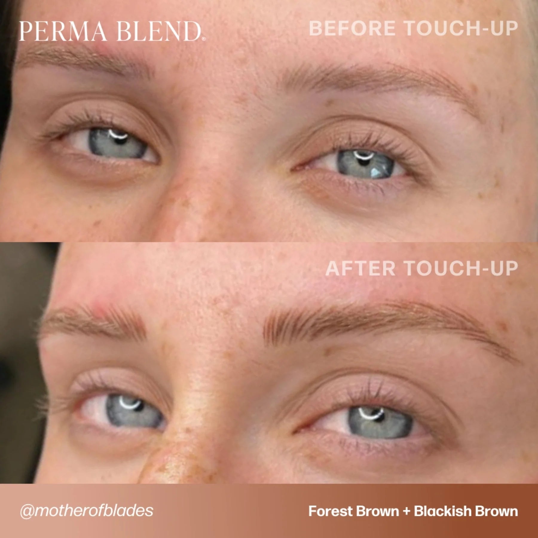 Eyebrow Pigment – Forest Brown 15ml Perma Blend | Permanent Makeup SPMU Eyebrow Ink for Microblading, Ombré Brows & Powder Brows | Cool Brown Professional Pigment