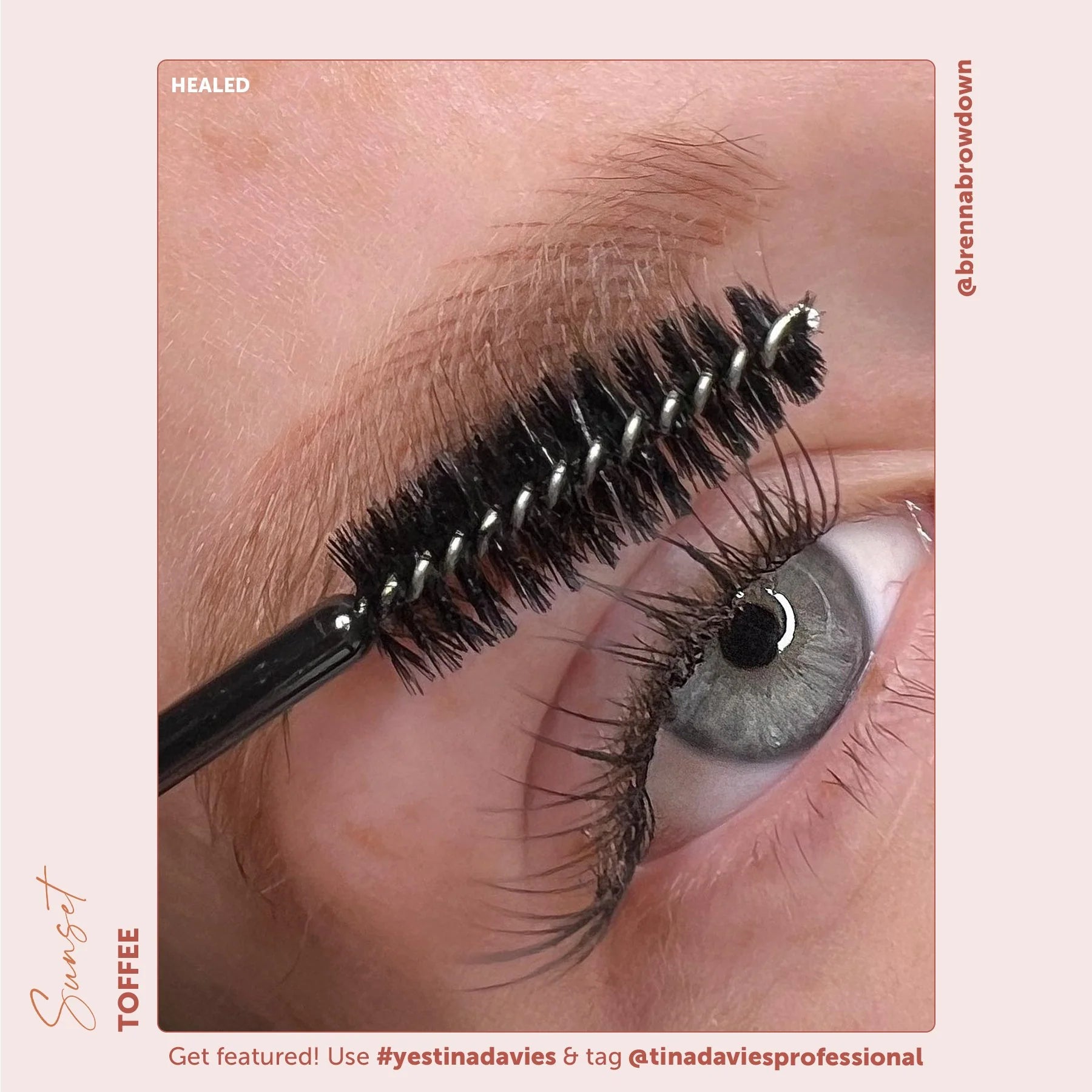 Brow Pigment Set – Perma Blend Sunset Brow Collection 4x15ml | Eyebrow Pigment Set, Eyebrow Coloring Ink, SPMU Brow Tattoo Pigments, Microblading & Shading Colors