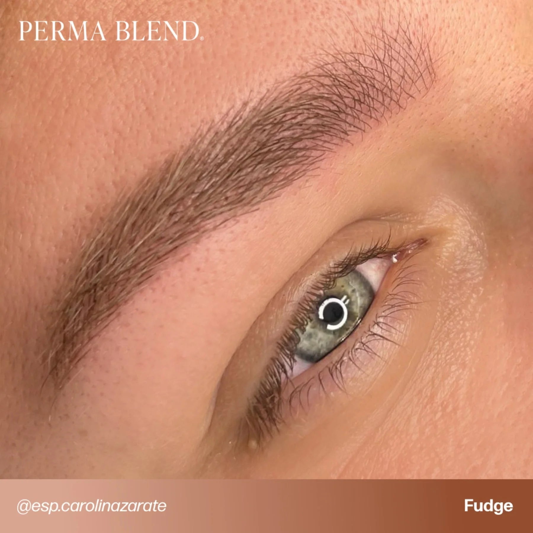 Eyebrow Pigment – Fudge 15ml Perma Blend | Permanent Makeup SPMU Eyebrow Ink for Microblading, Ombré Brows & Powder Brows | Cool Brown Professional Pigment