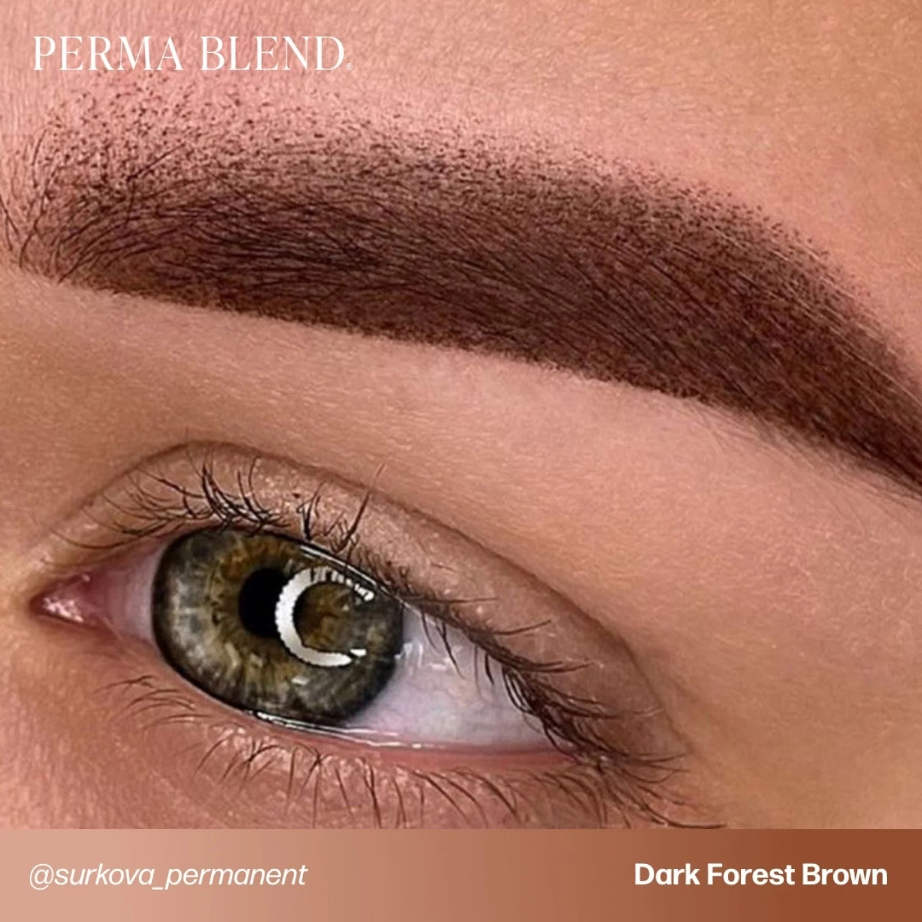 Eyebrow Pigment – Dark Forest Brown 15ml Perma Blend I Love Ink | Permanent Makeup SPMU Eyebrow Ink for Microblading, Ombré Brows & Powder Brows | Cool Brown Professional Pigment