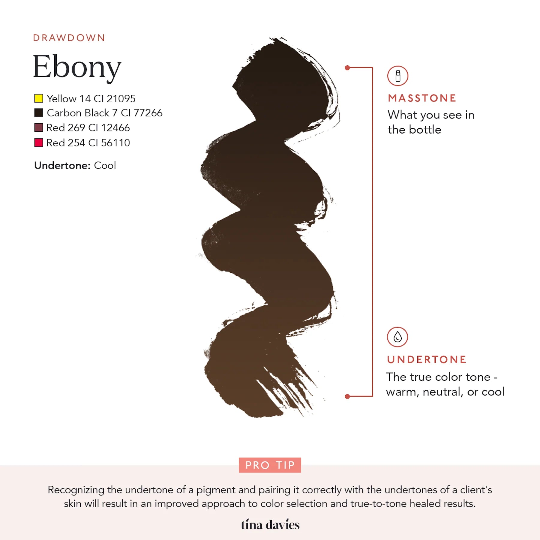 Eyebrow Pigment – Ebony 15ml Tina Davies I Love Ink | Permanent Makeup SPMU Eyebrow Ink for Microblading, Ombré Brows & Powder Brows | Cool Brown Professional Pigment