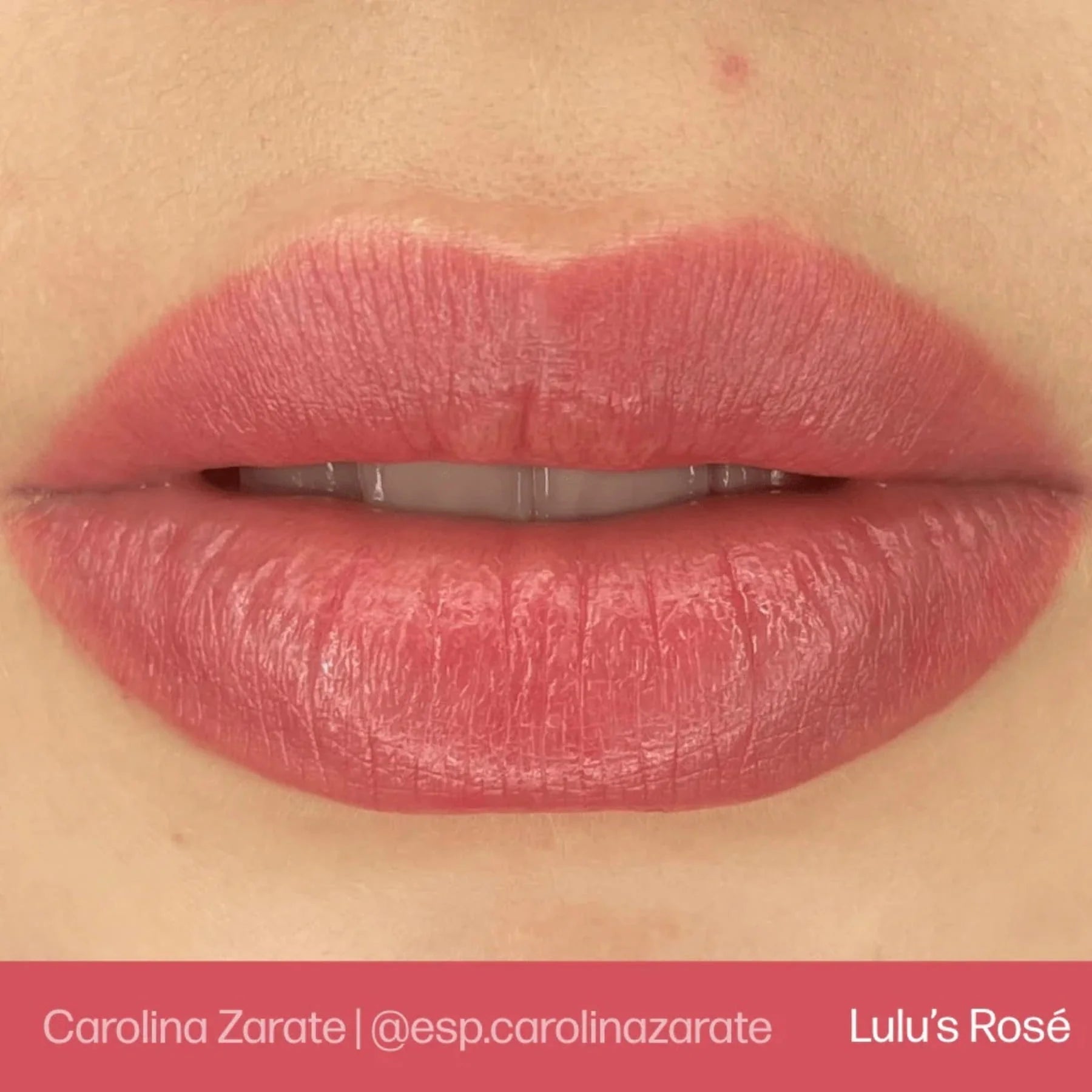 Lip Pigment – Evenflo Lip Shade Lulu's Rosé 15ml | Professional PMU Lip Blush Pigment for Lip Neutralization, Lip Correction, Lip Tattoo & Semi Permanent Makeup Ink
