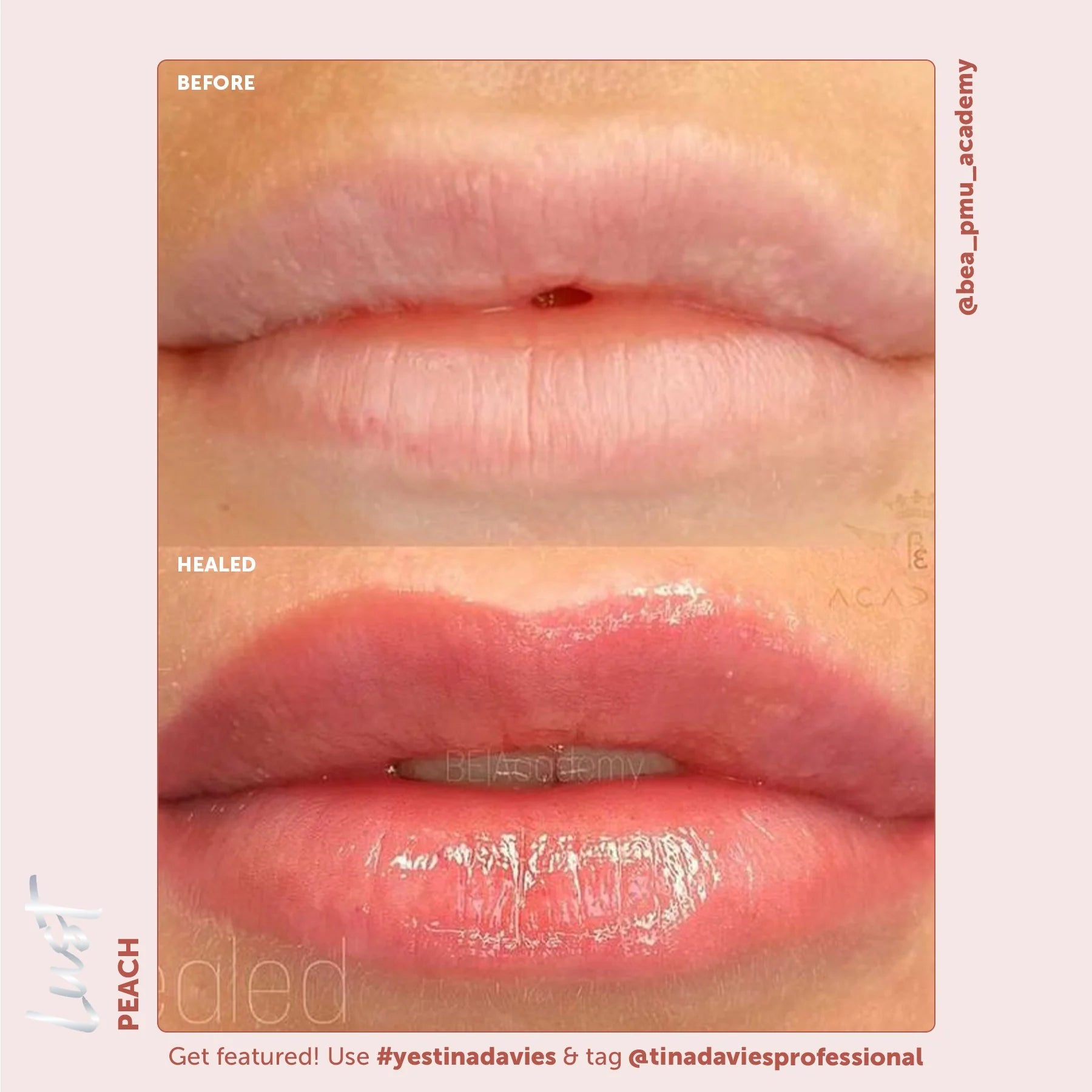 Lip Pigments - Lust Lip Pigments Peach 15ml – Tina Davies x Perma Blend | Warm Orange-Red PMU Lip Blush Pigment for Lip Neutralization & Lip Tattoo Ink