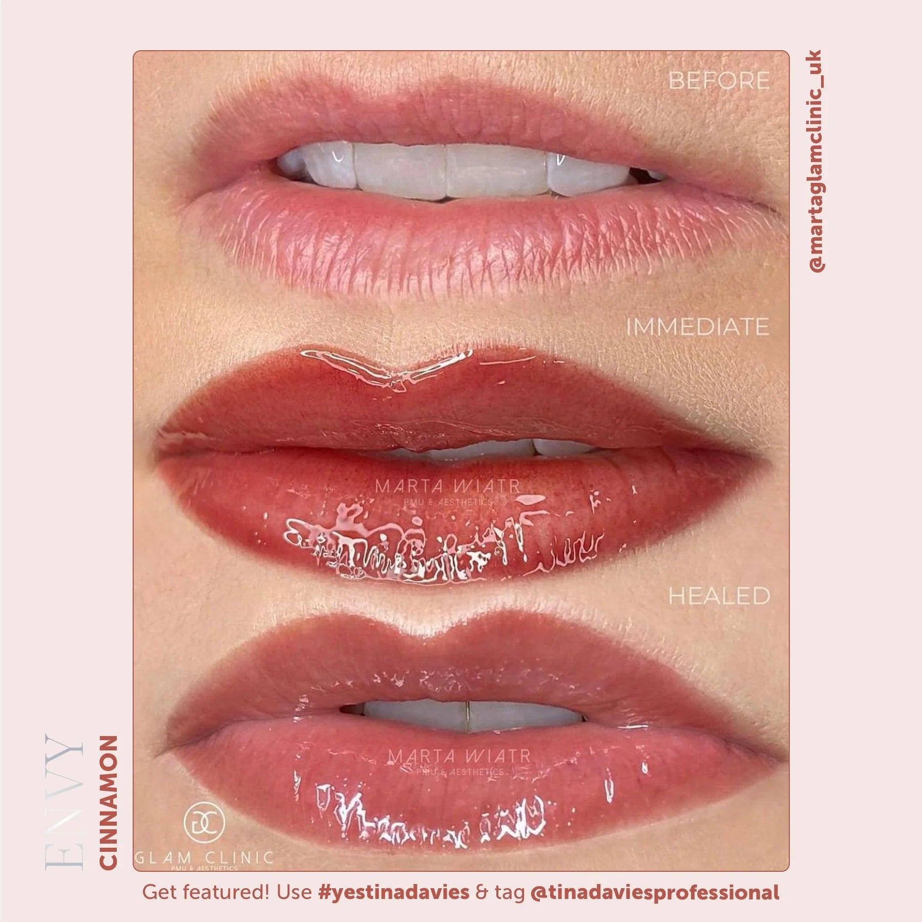 Lip Pigments – Envy Lip Pigments Cinnamon 15ml | Tina Davies x Perma Blend Luxe Professional PMU Lip Blush Pigment for Lip Neutralization, Lip Correction & Lip Tattoo Ink