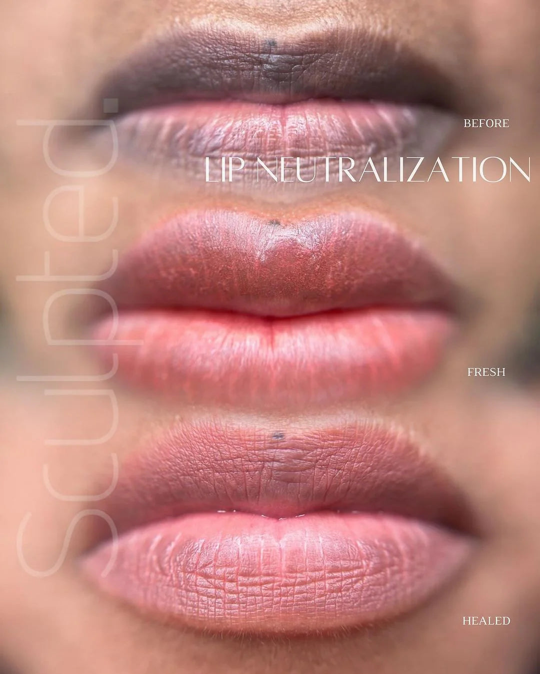 Lip Pigment – Perma Blend LUXE Embody Base 1 15ml by Carla Ricciardone | Lip Shades Collection | PMU Lip Blush & Neutral Base Lip Color