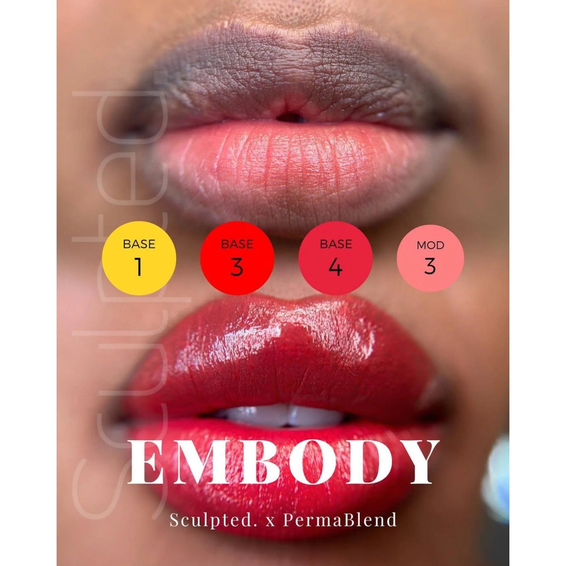 Lip Pigment – Perma Blend LUXE Embody MOD 1 15ml by Carla Ricciardone | Lip Shades Collection | PMU Lip Blush & Modern Neutral Lip Color