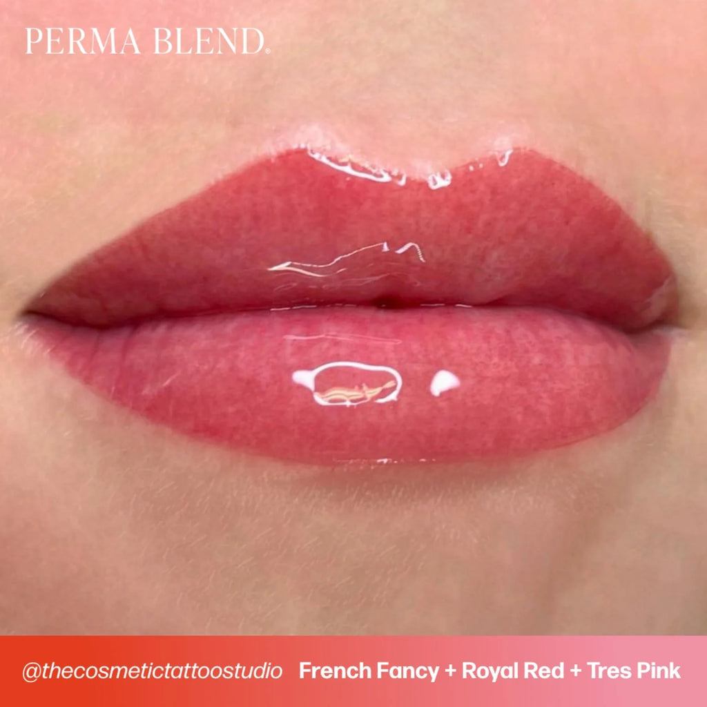 Lip Pigments – Perma Blend Lip Pigment Royal Red 15ml | Perma Blend Professional PMU Lip Blush Pigment for Lip Neutralization, Lip Correction, Lip Tattoo & Semi Permanent Makeup Ink