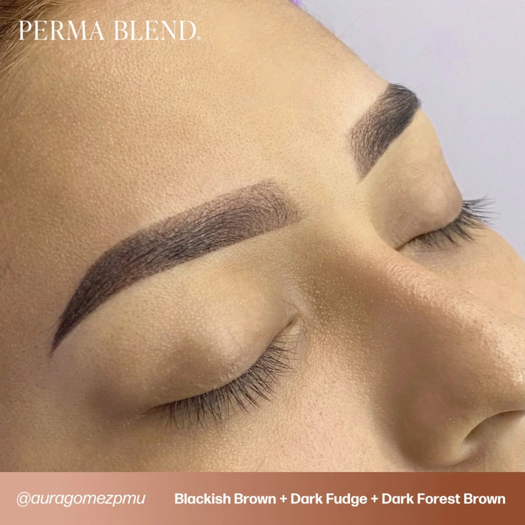 Eyebrow Pigment – Dark Fudge 15ml Perma Blend | Permanent Makeup SPMU Eyebrow Ink for Microblading, Ombré Brows & Powder Brows | Cool Brown Professional Pigment