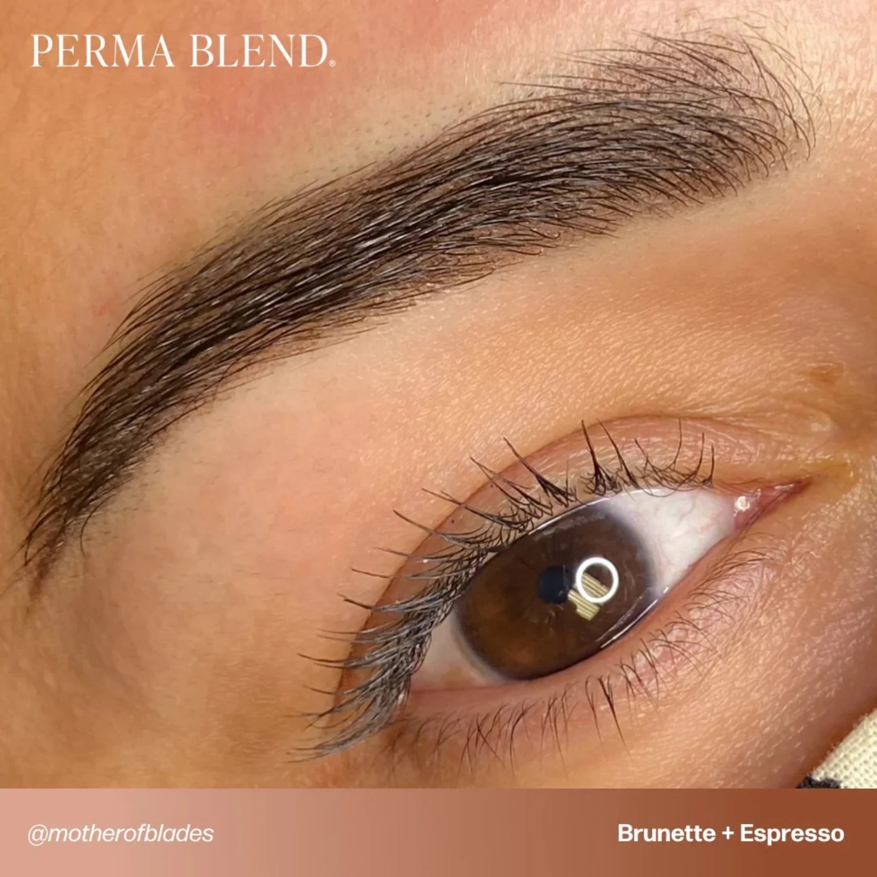 Eyebrow Pigment – Brunette 15ml Tina Davies I Love Ink | Permanent Makeup SPMU Eyebrow Ink for Microblading, Ombré Brows & Powder Brows | Cool Brown Professional Pigment