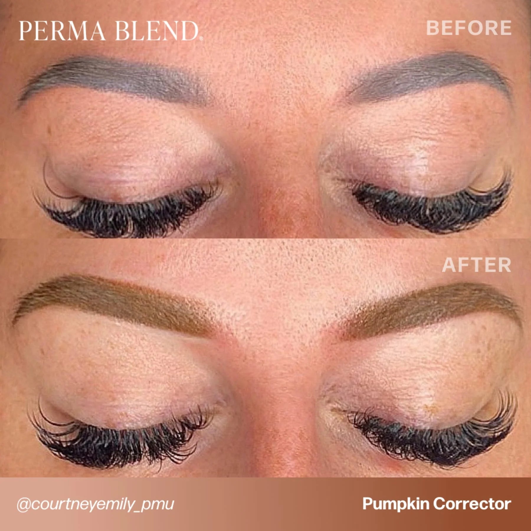 Pigment Corrector – Pumpkin Corrector 15ml | Permanent Makeup SPMU Pigment Ink for Microblading, Ombré Brows & Powder Brows, Lip Pigments | Light Orange-Based Corrector Professional Pigment