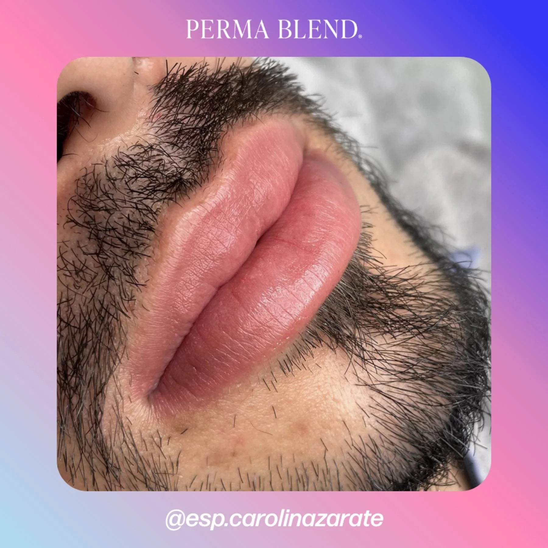 Lip Pigments – Perma Blend Lip Pigment Sweet Melissa 15ml | Perma Blend Professional PMU Lip Blush Pigment for Lip Neutralization, Lip Correction, Lip Tattoo & Semi Permanent Makeup Ink