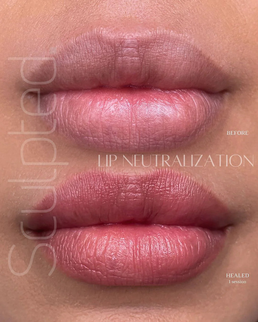 Lip Pigment – Perma Blend LUXE Lip Pigment Marlo (Carla Ricciardone Enhance) 15ml | Lip Blush Pigment, Lip Tattoo Ink, SPMU Lip Color, Semi Permanent Makeup Lip Shade