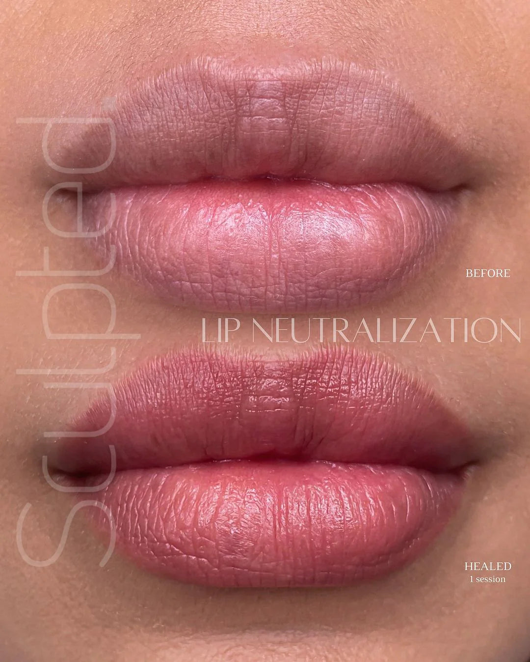Lip Pigment – Perma Blend LUXE Lip Pigment Marlo (Carla Ricciardone Enhance) 15ml | Lip Blush Pigment, Lip Tattoo Ink, SPMU Lip Color, Semi Permanent Makeup Lip Shade